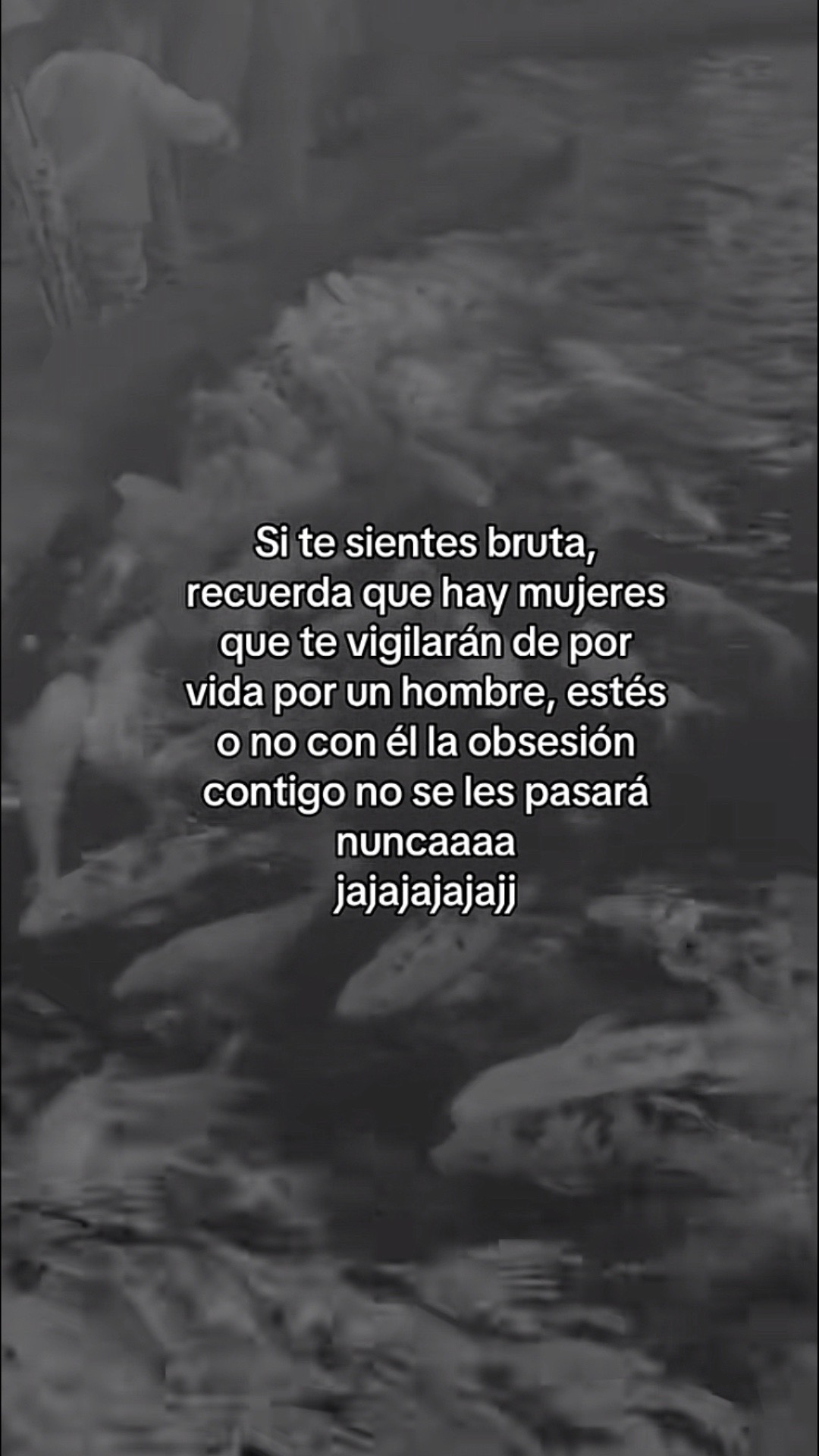 @Liliana paz🤎🌻