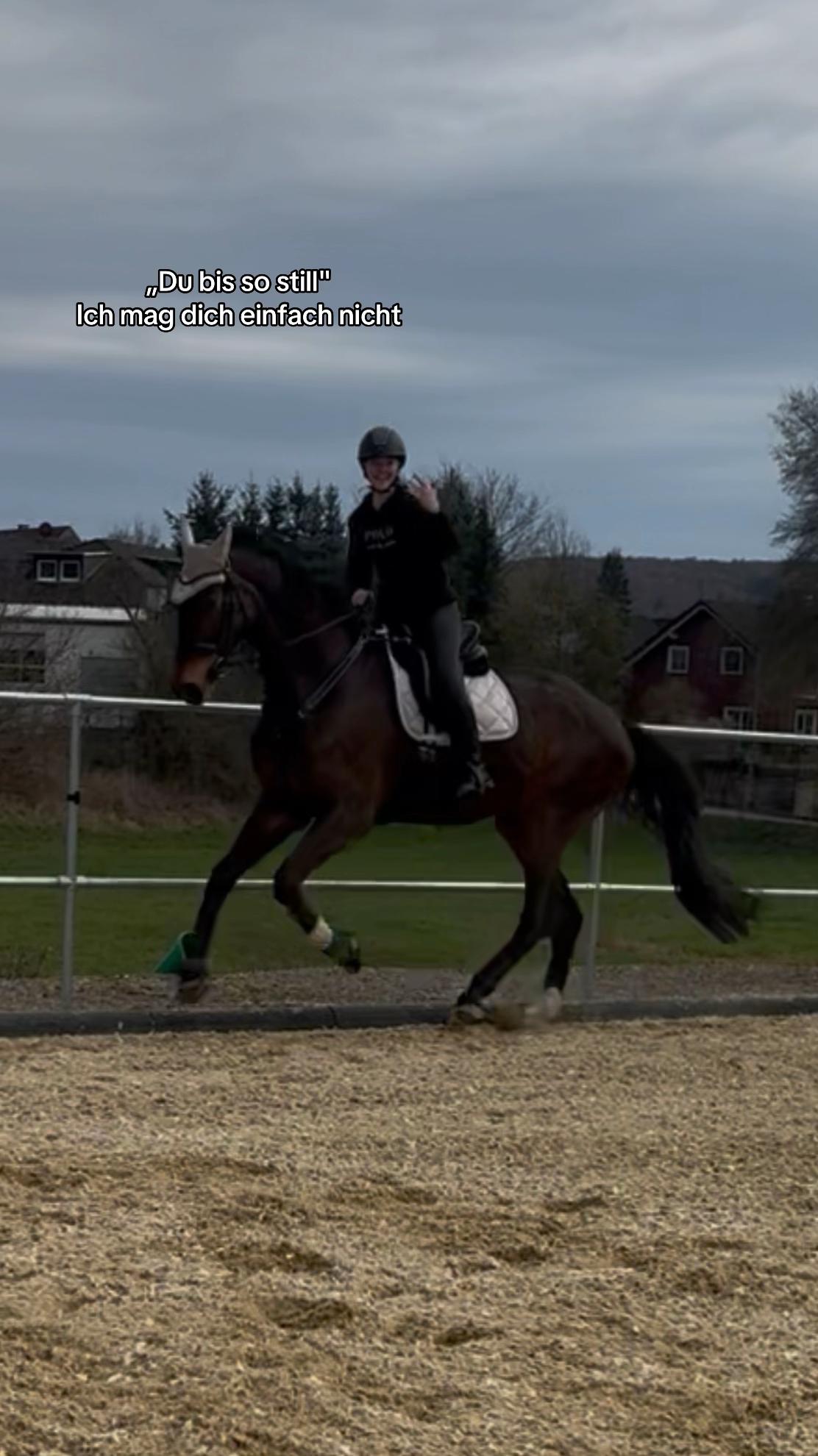 @annalisa.equestrian