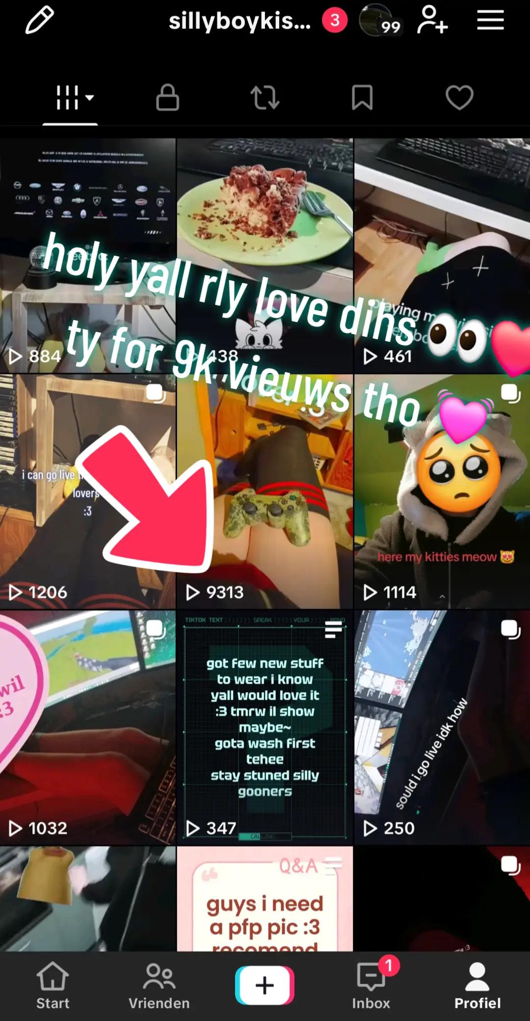 @sillyboykisser69