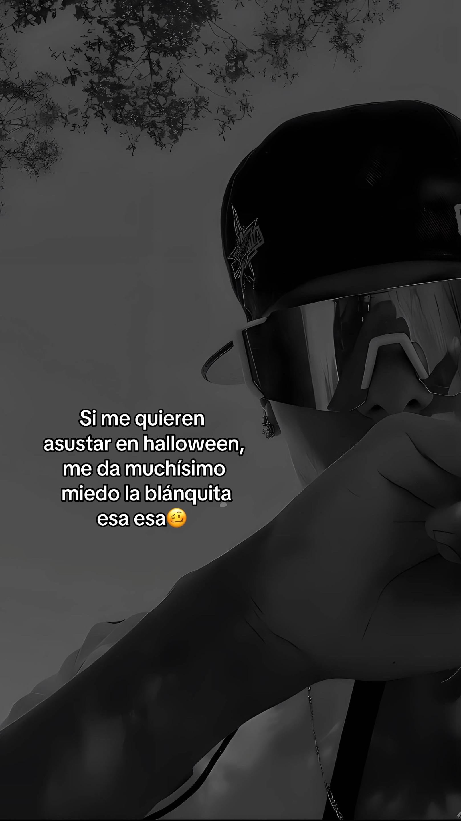@YANSITO