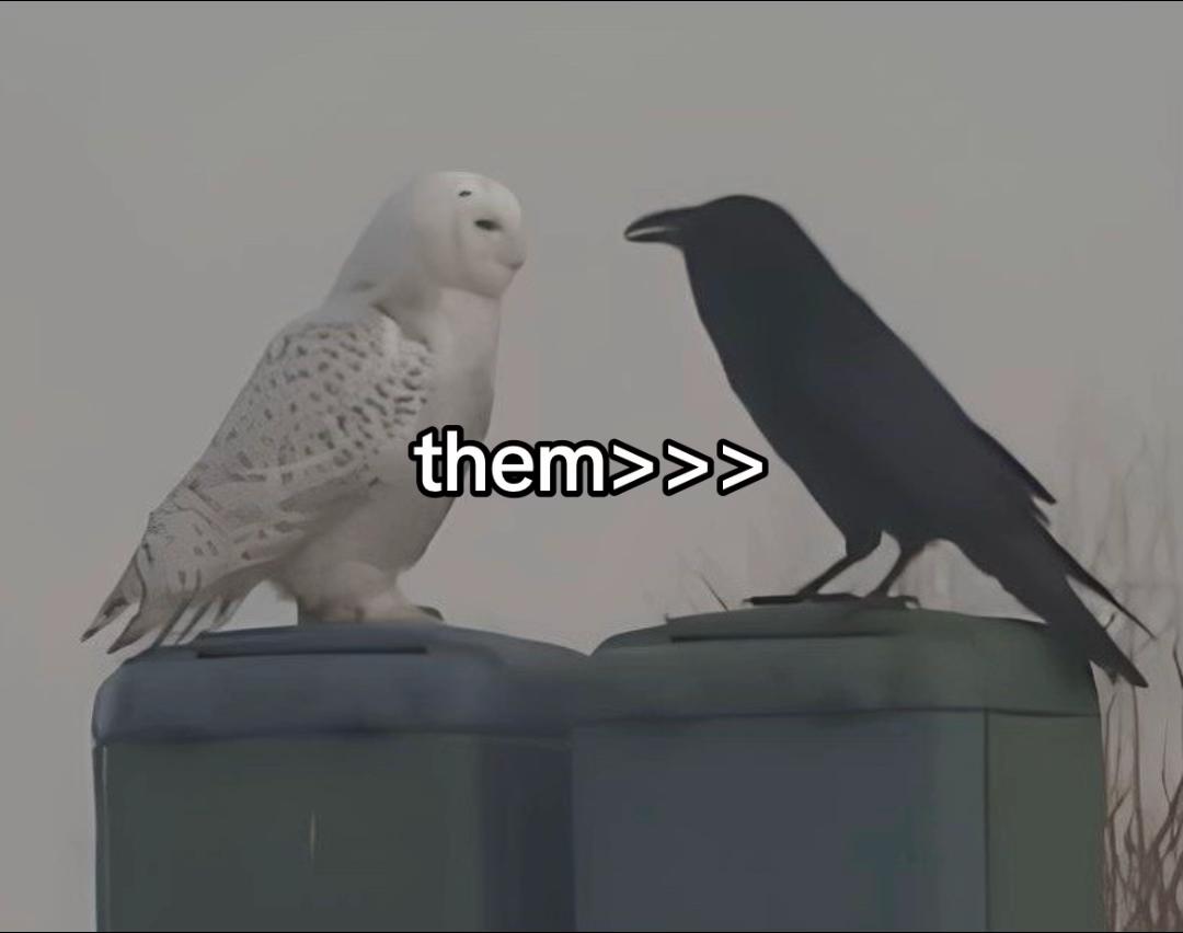 @woony