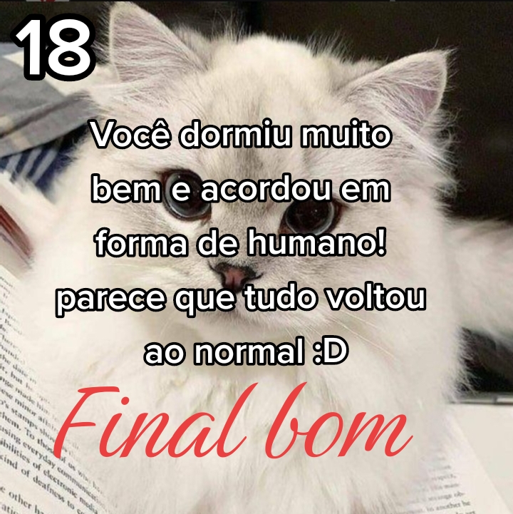 @Ozzy o gato