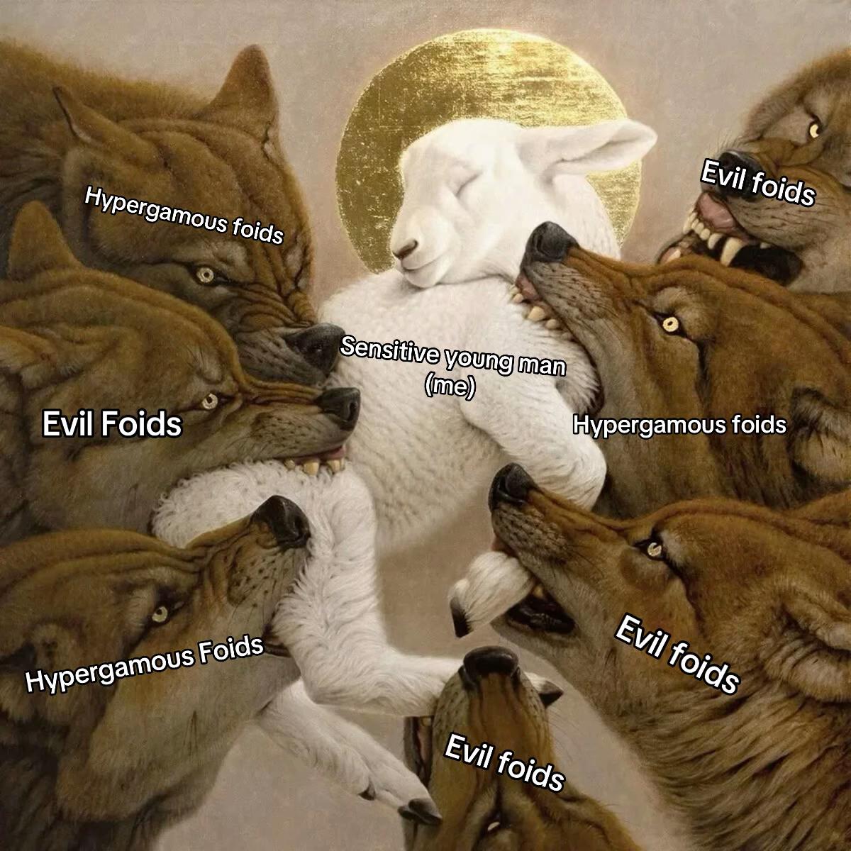 @𝗧𝗢𝗘𝗙𝗜𝗗𝗗𝗟𝗘𝗥𝟯𝟮𝟯