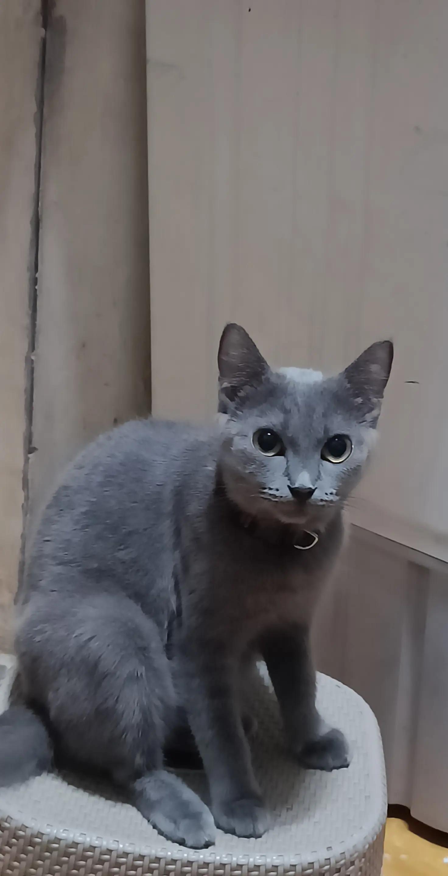 @Vhinz 🧿