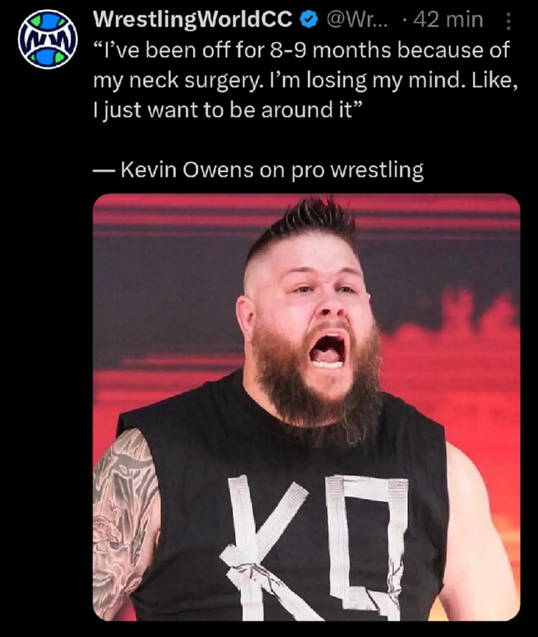 @wrestling fan