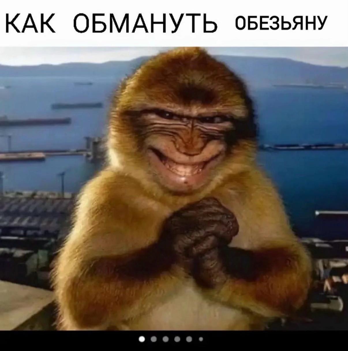 @ilkush