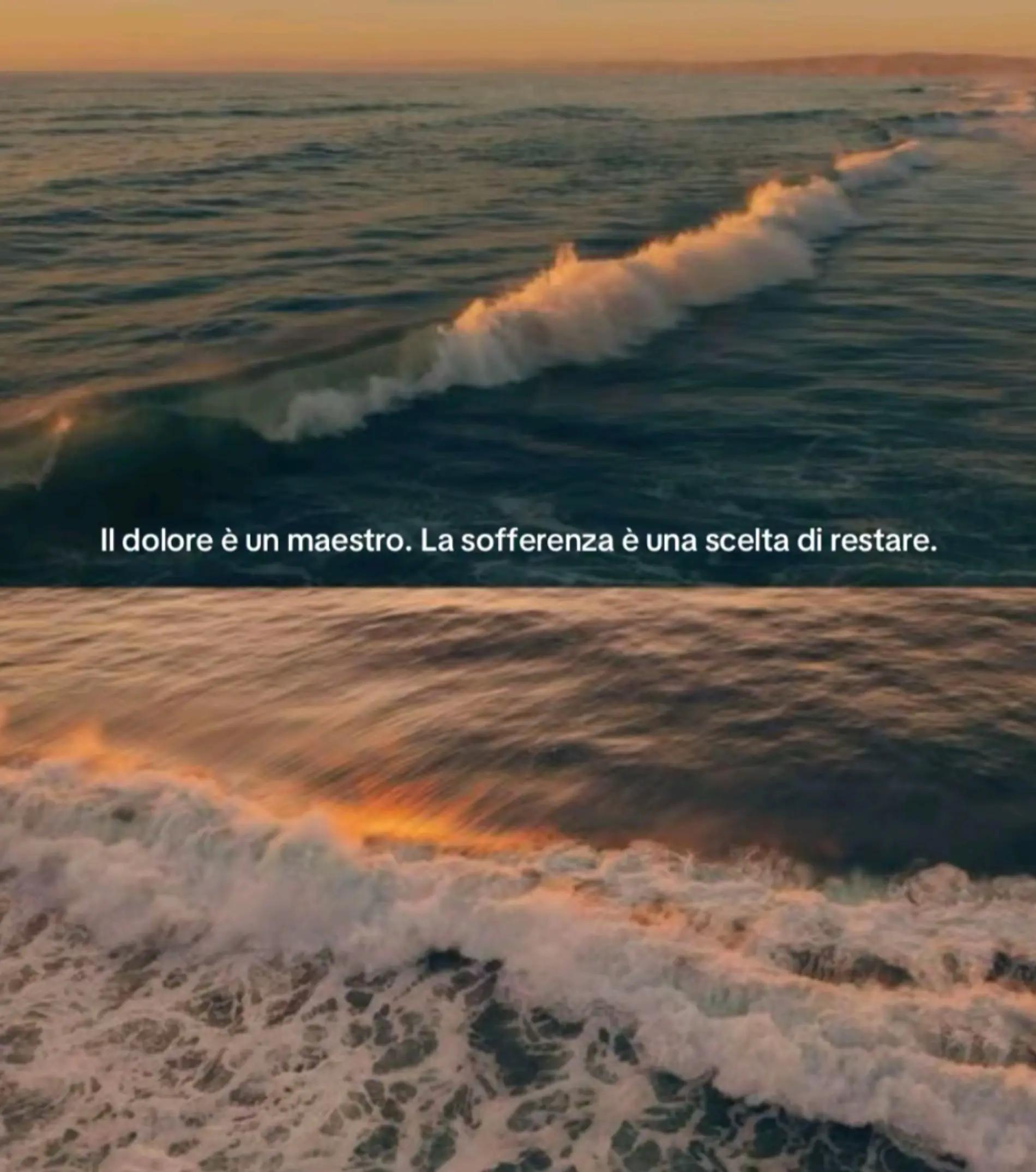 @Ammor & Verità