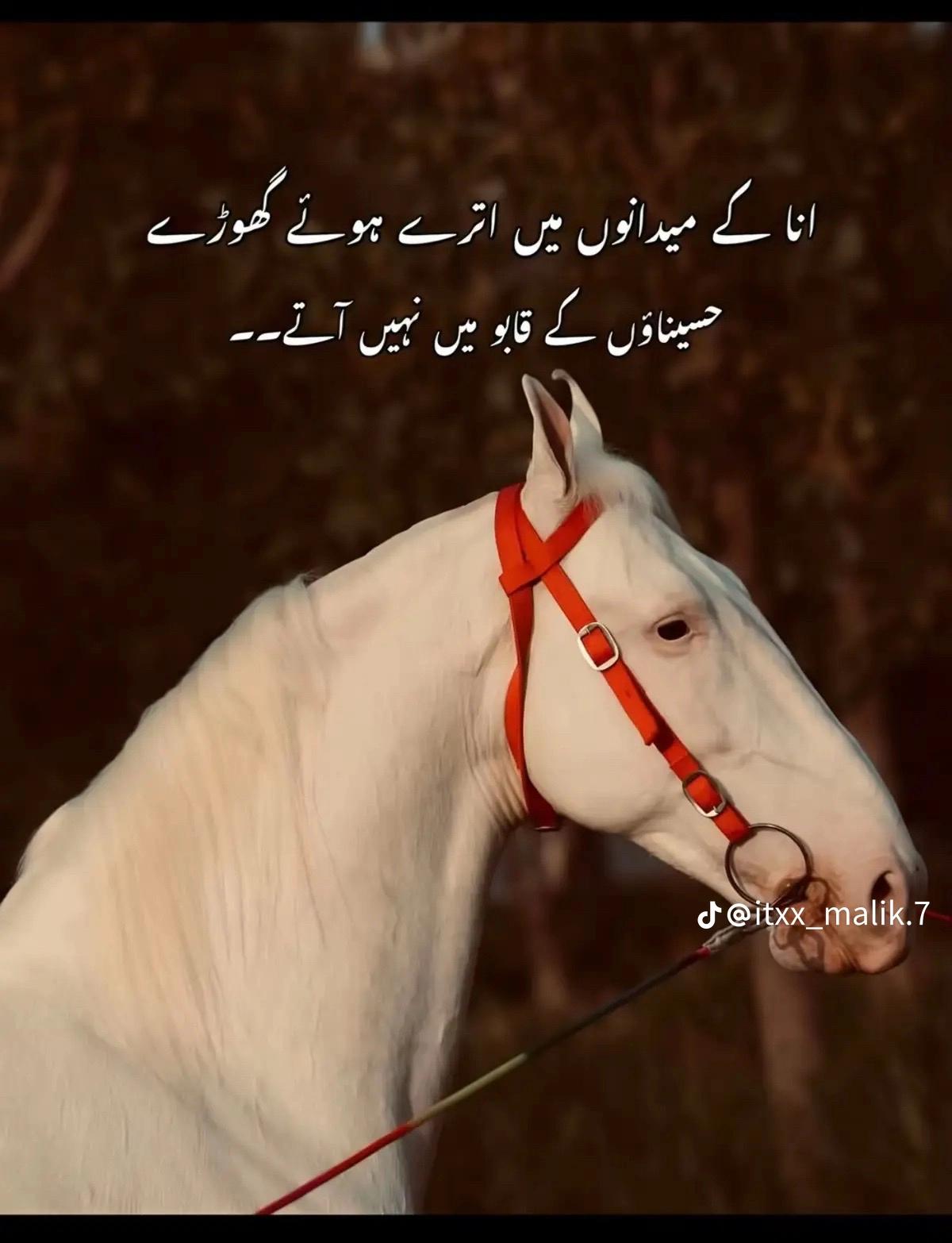 @@Bilal😈 Khan