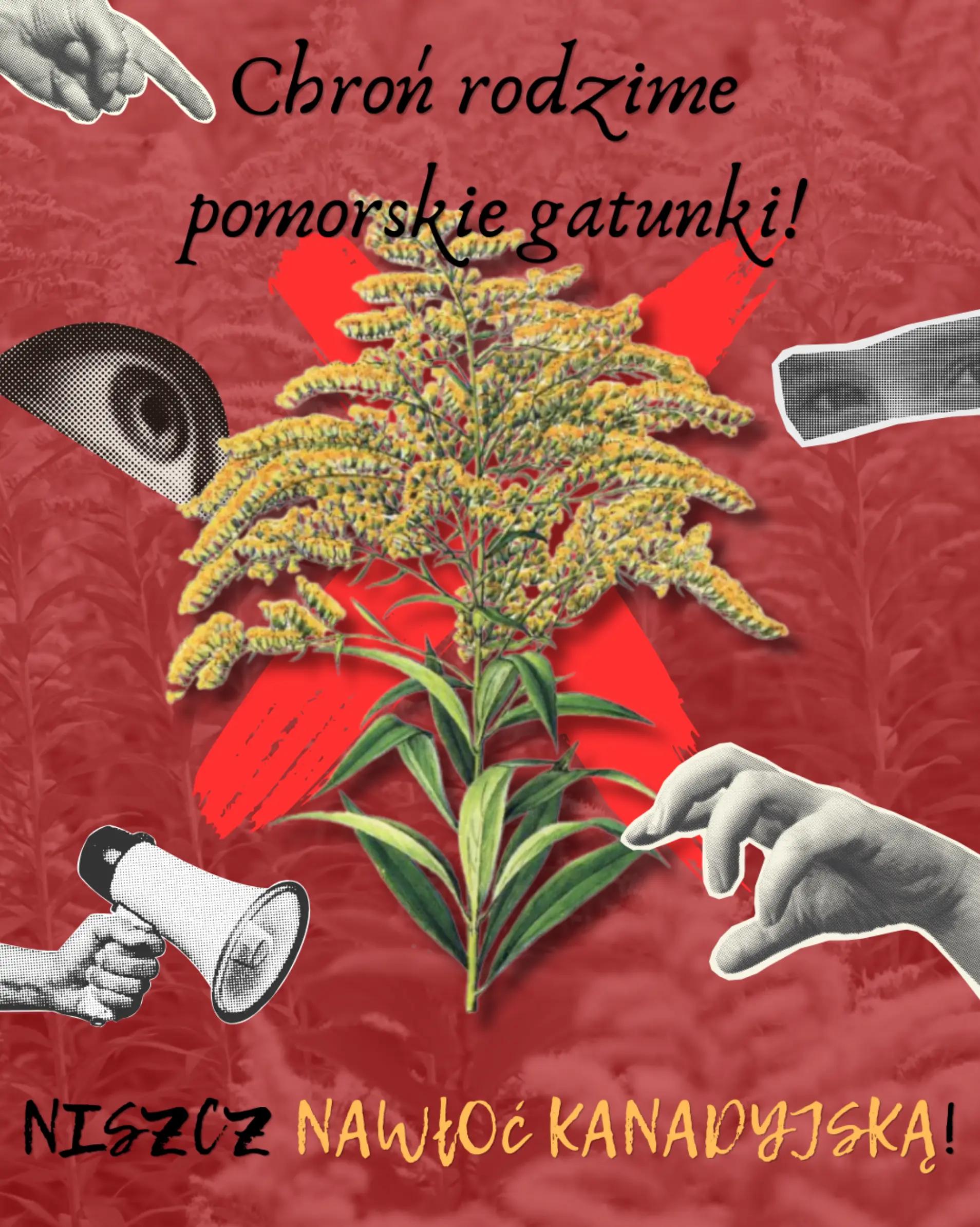 @Gdańskie Opowieści