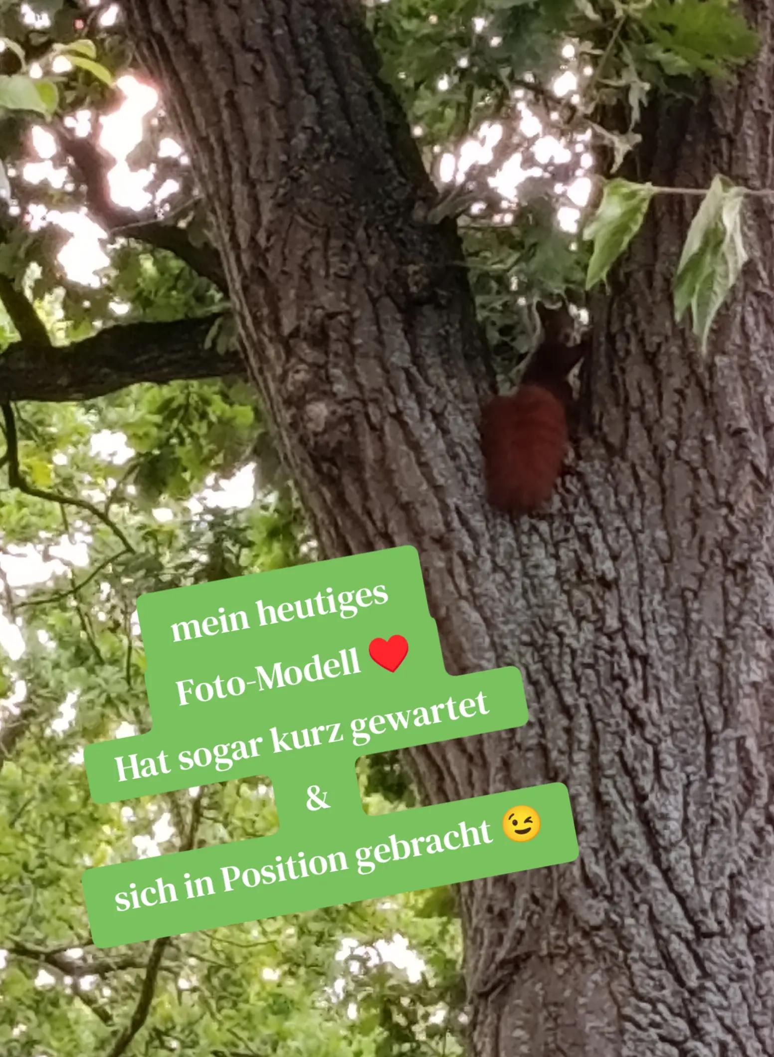 @sunshine bea🥰