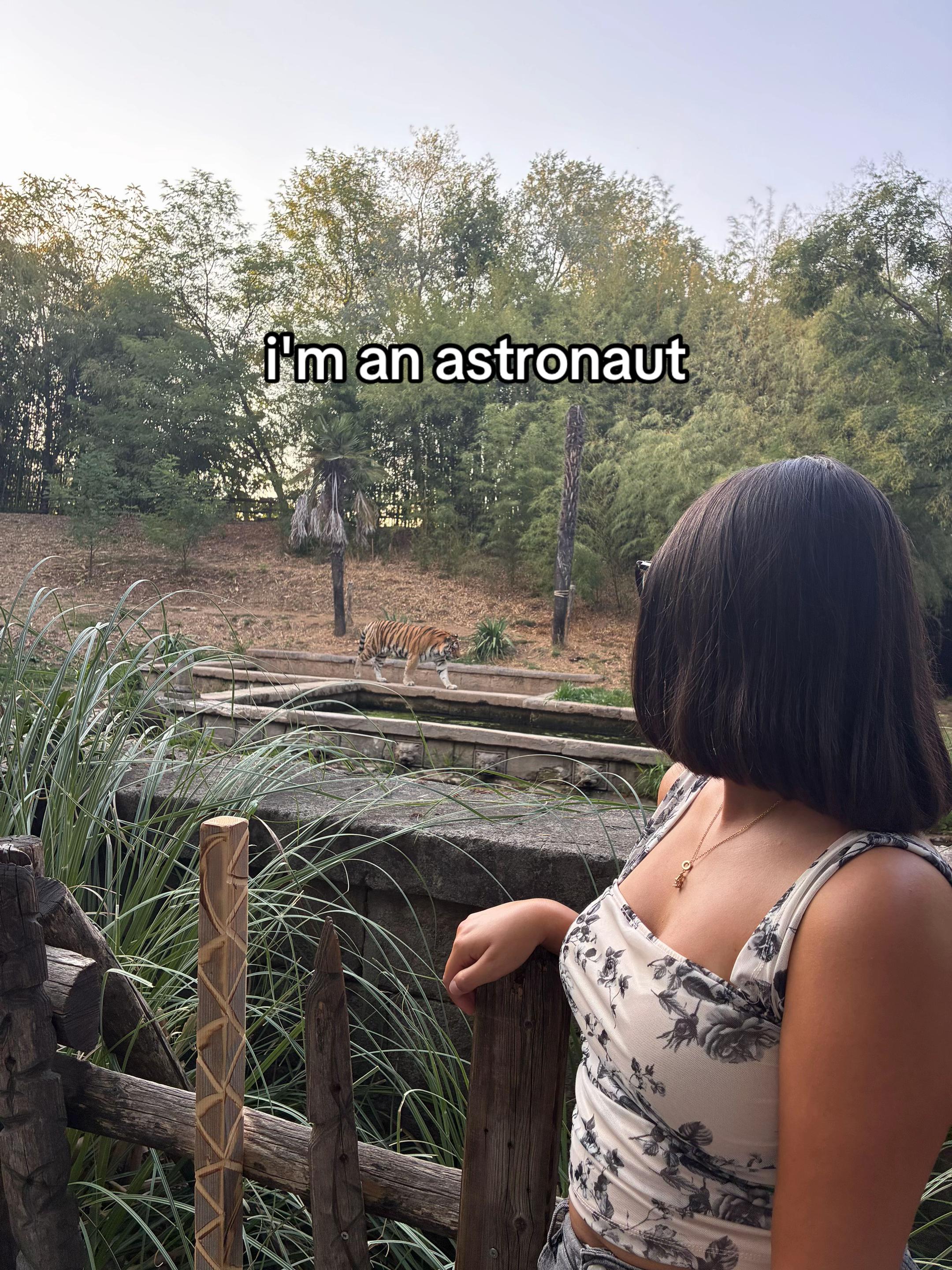 @ale’s stan🦋♾️❤️🩹