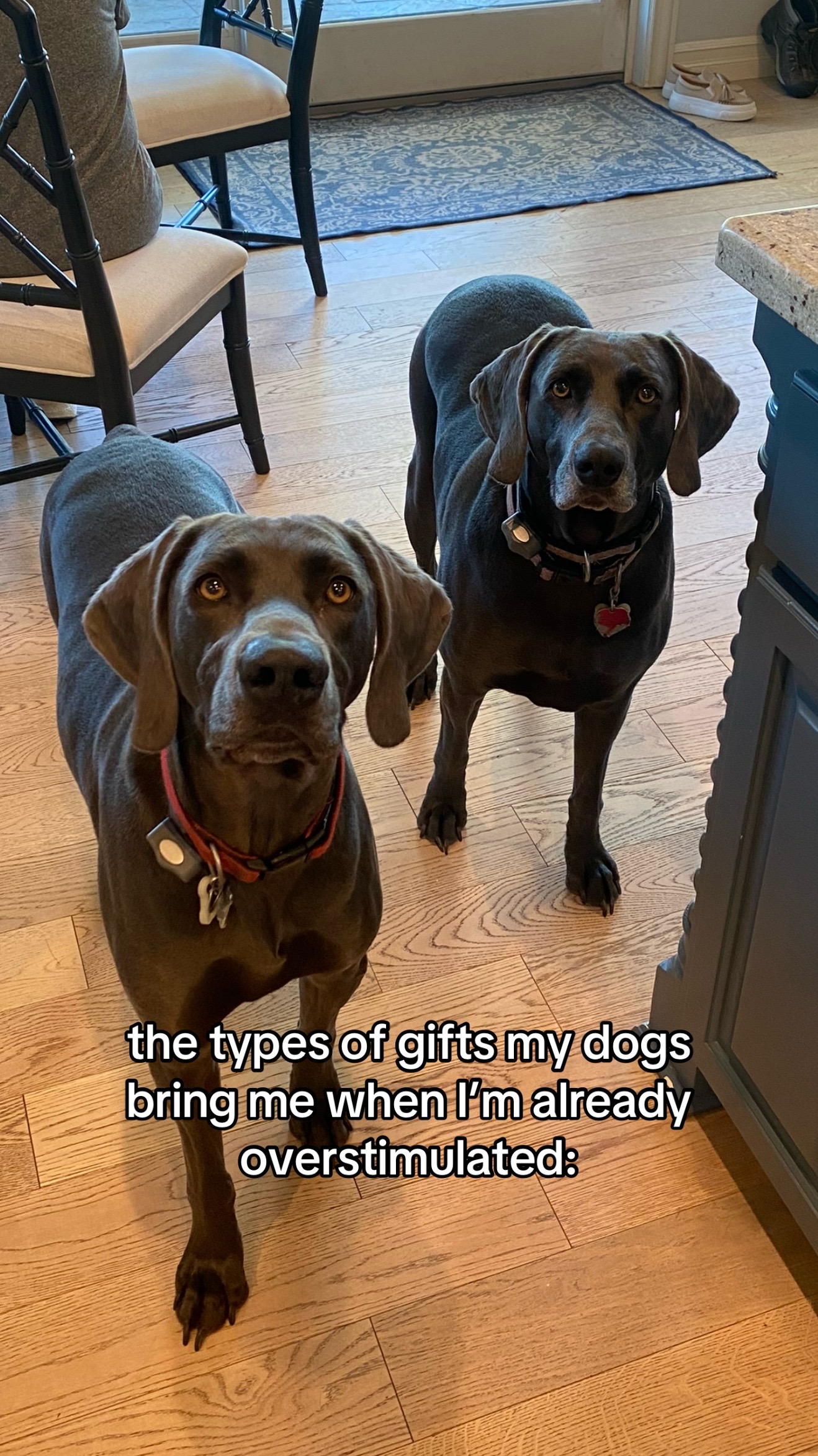 @carmizzle