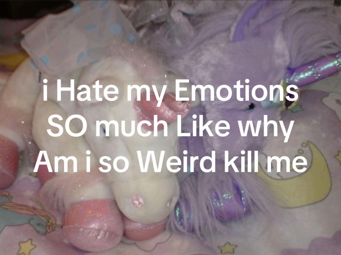 @bunny