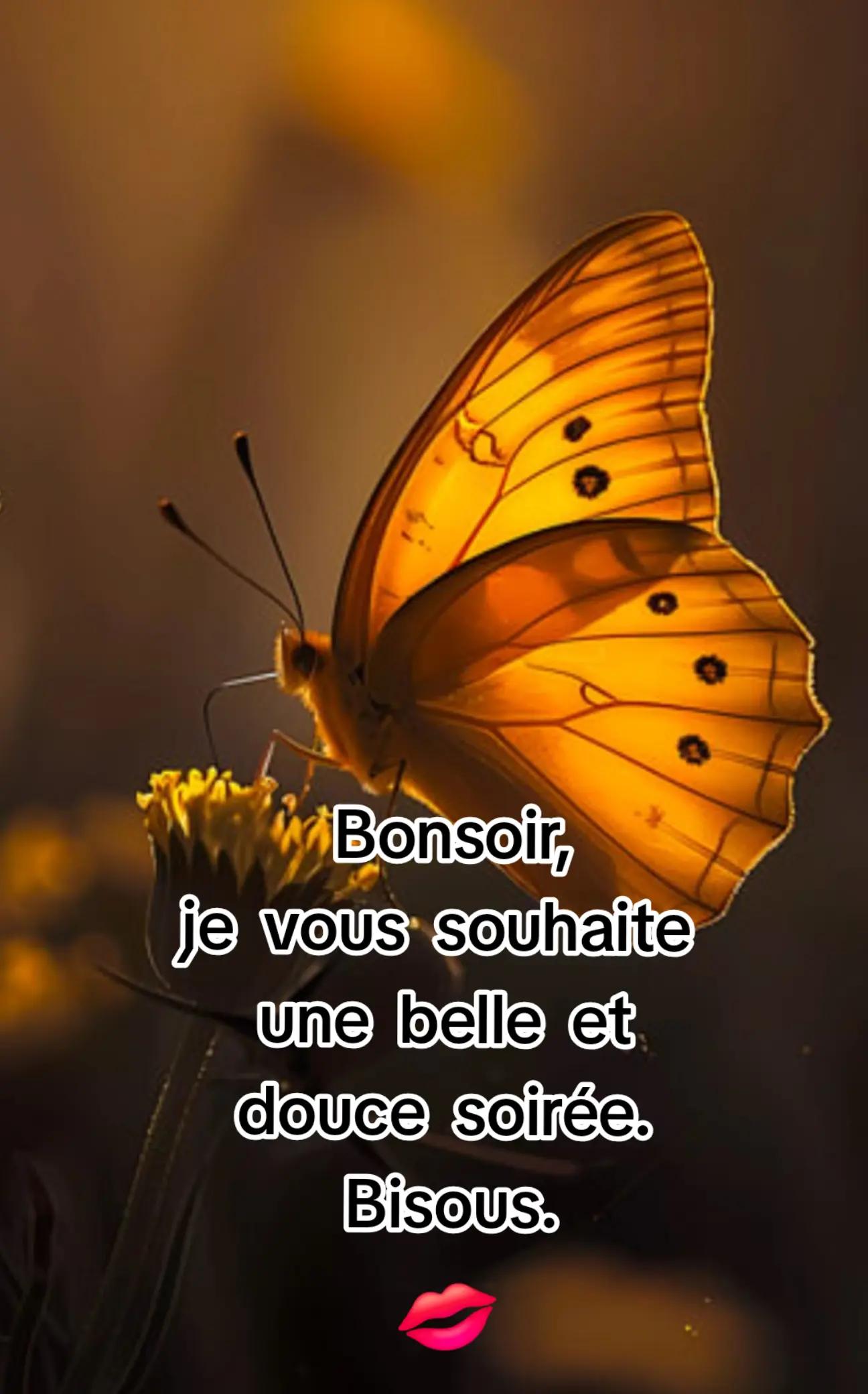 @🌹Douce&passionnée 🌹