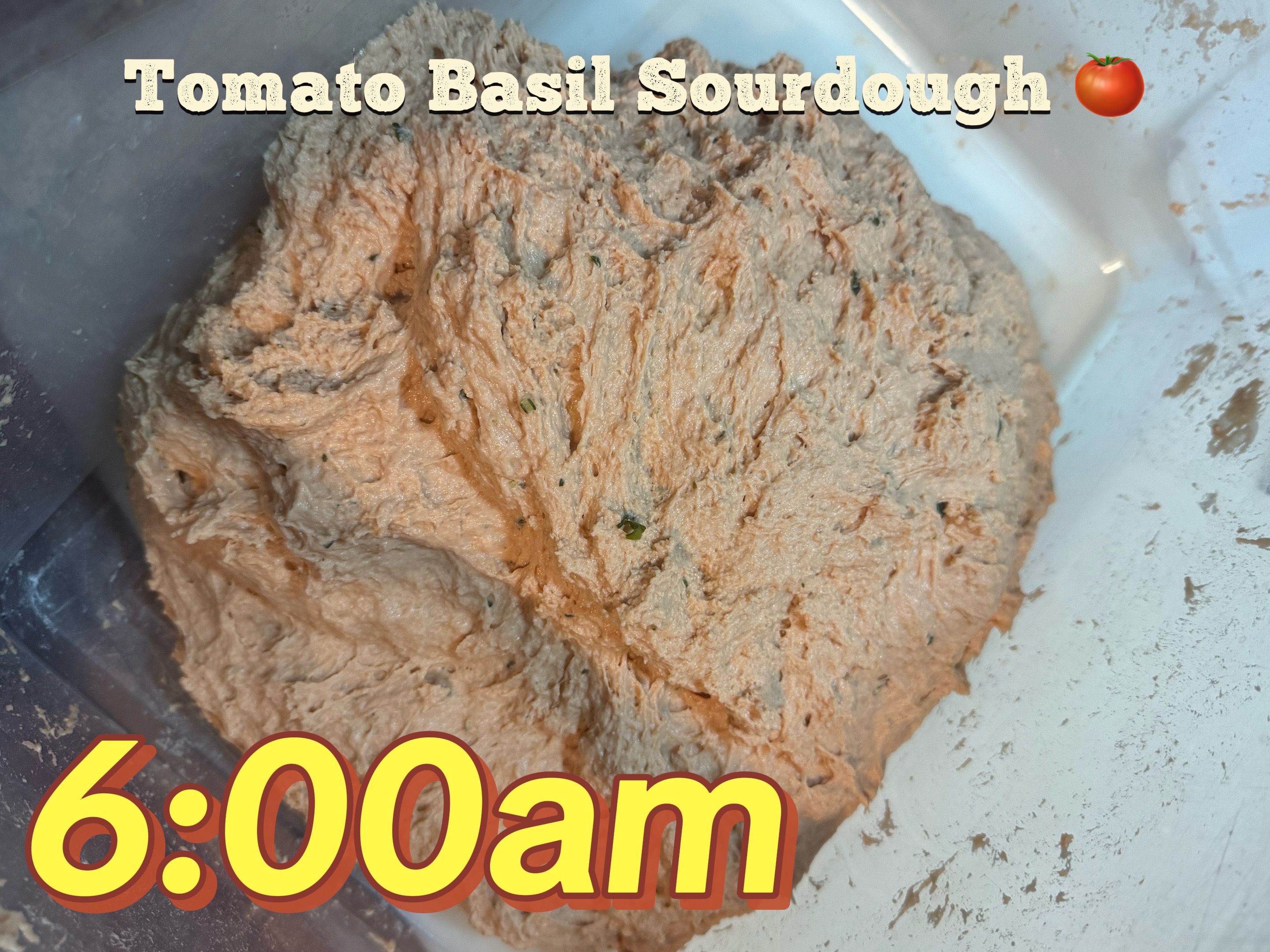 @Marissa | Schoolhouse Snack Co