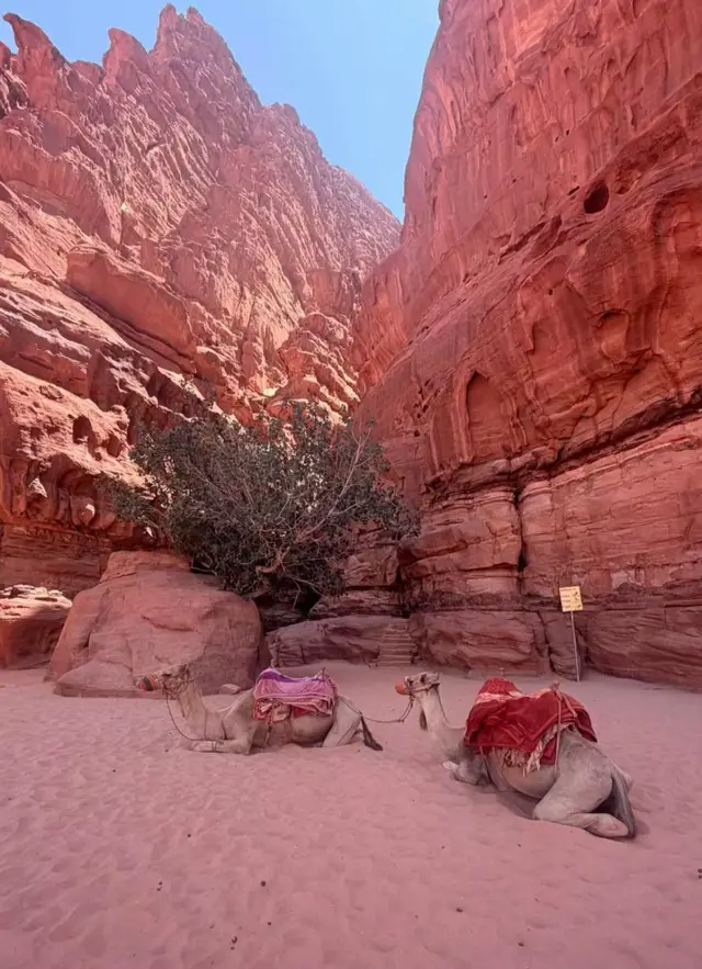 @تراثي