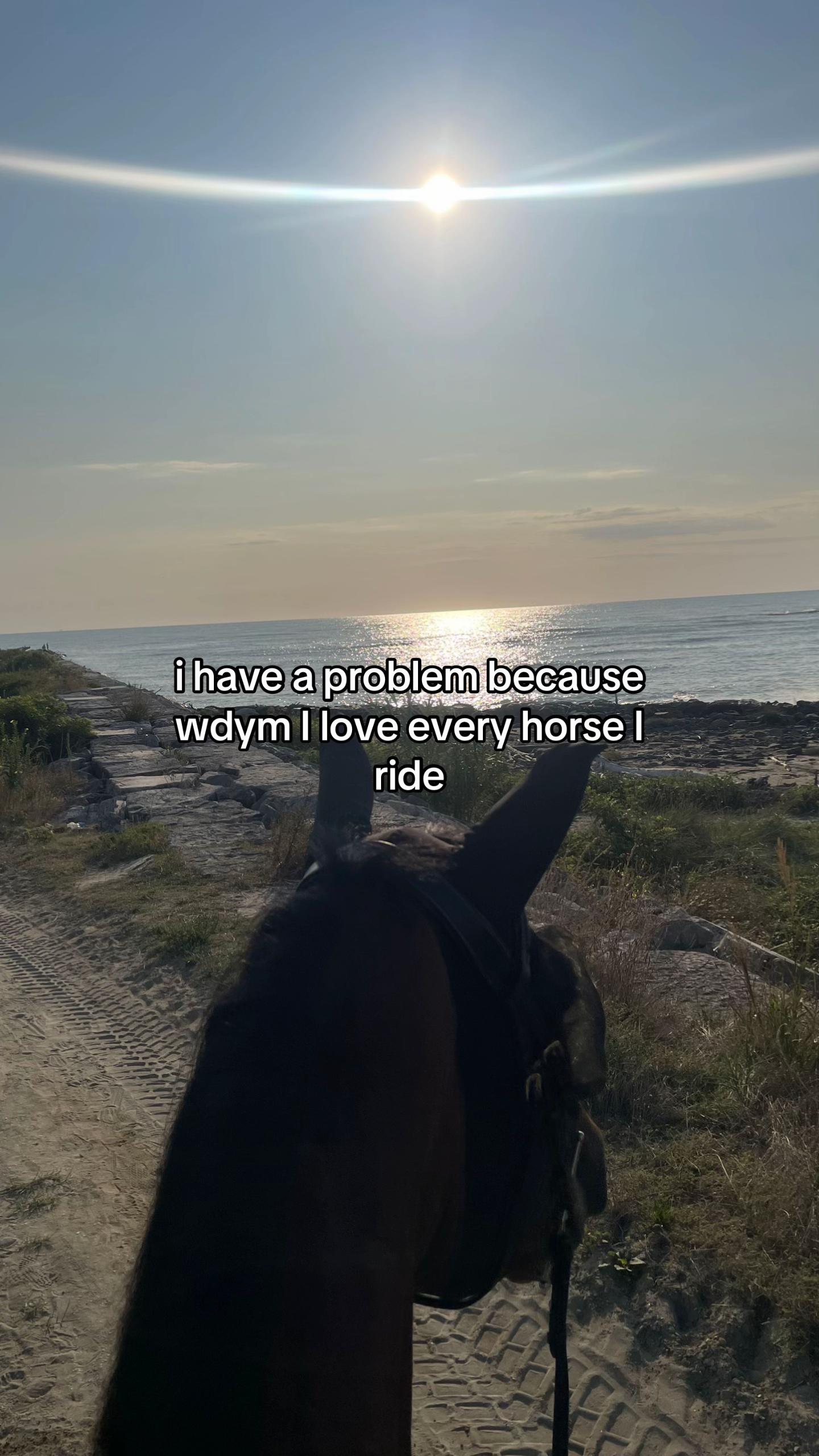 @angy