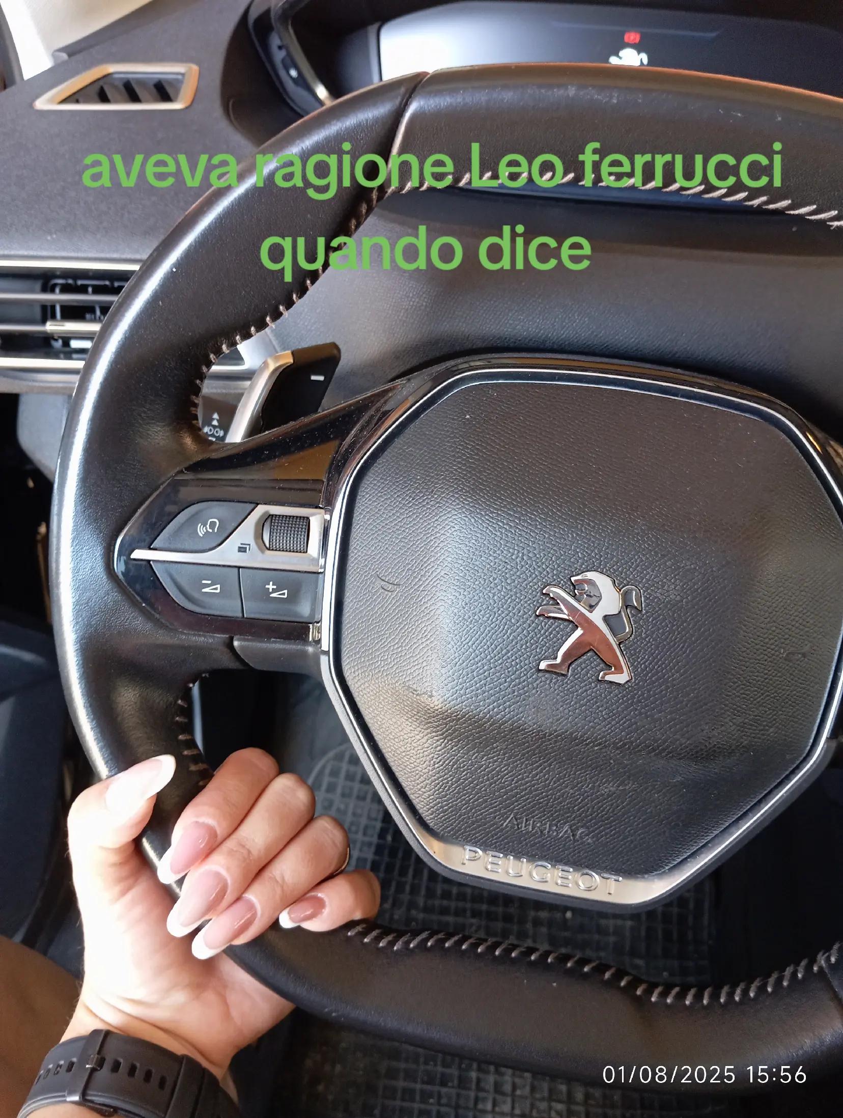 @elviracapone515