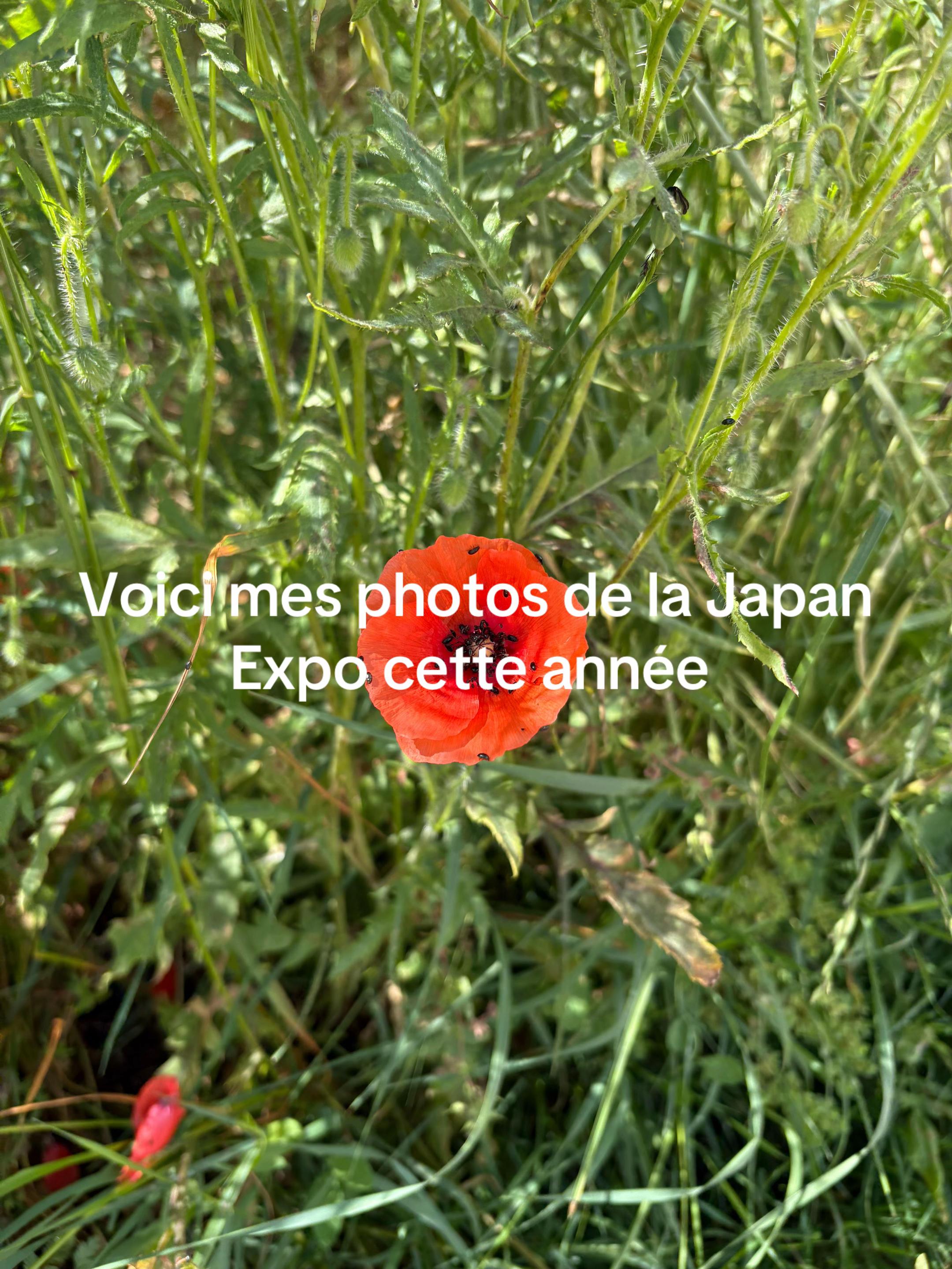 @★★★★☆