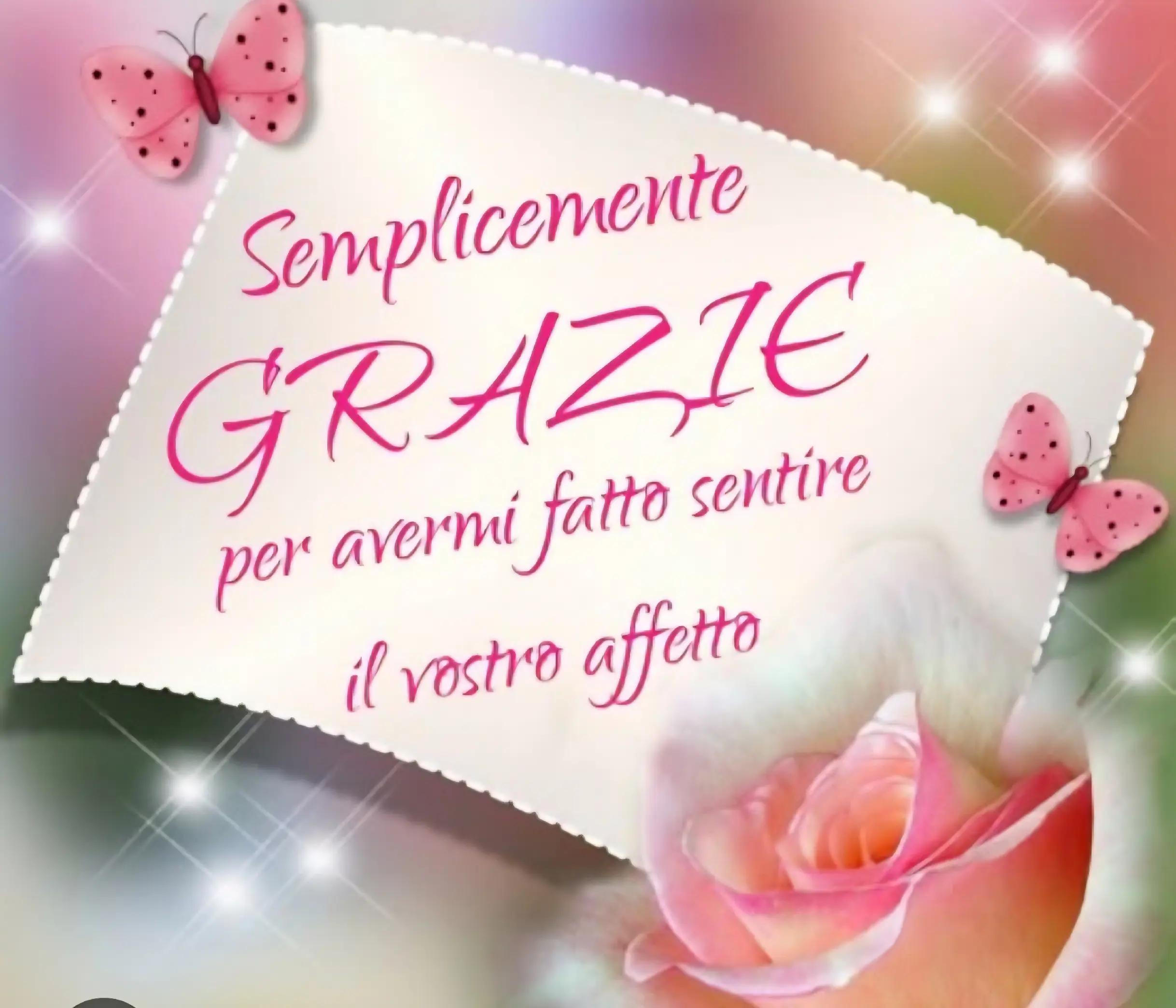 @anna