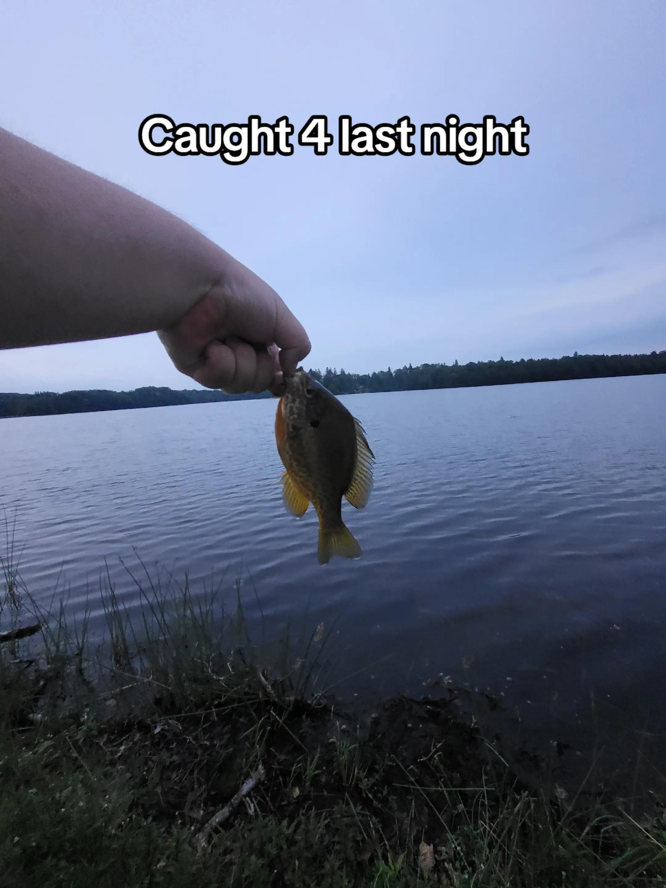 @TheReelLife