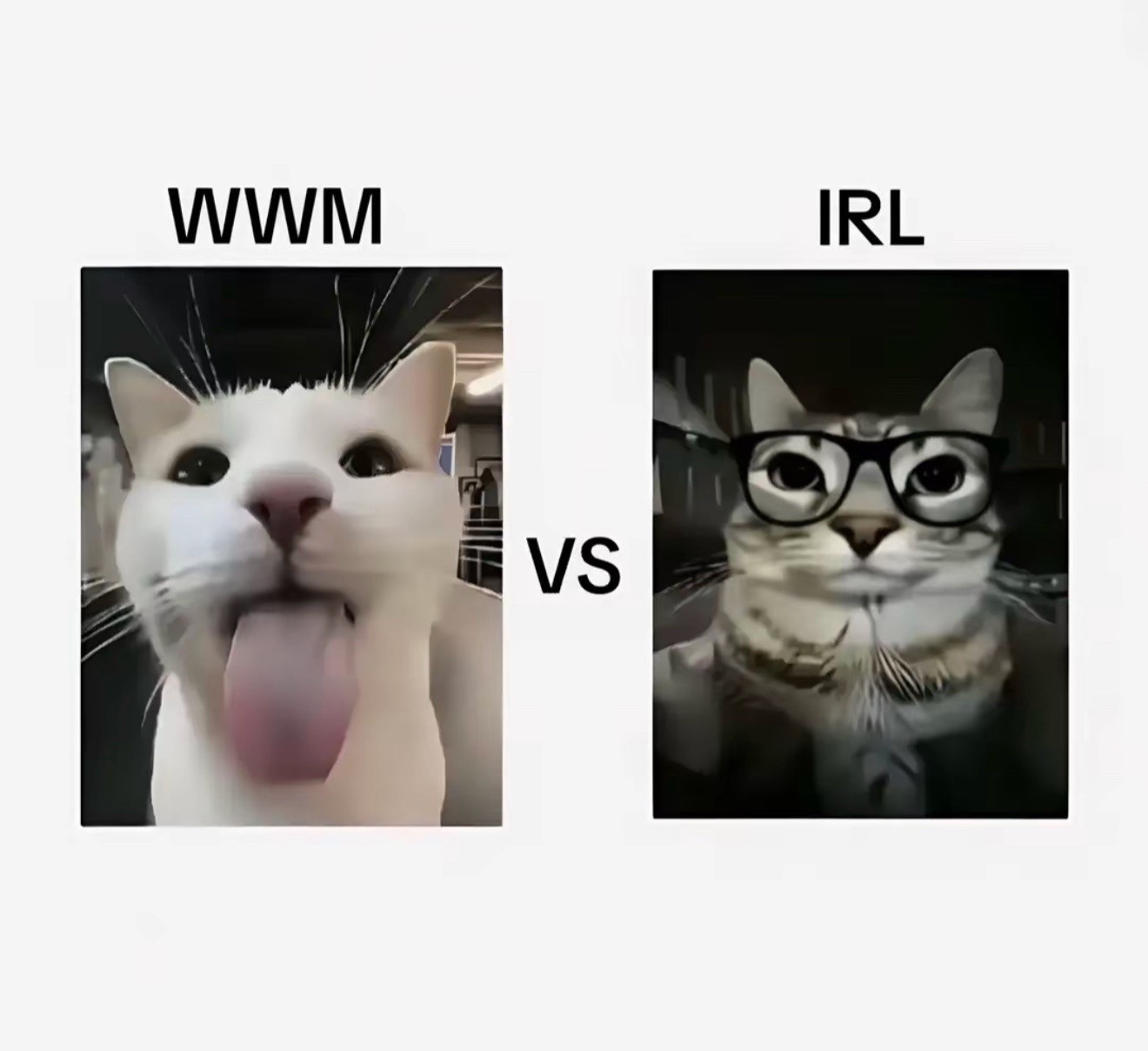 @๐ธ๐๐๐๐