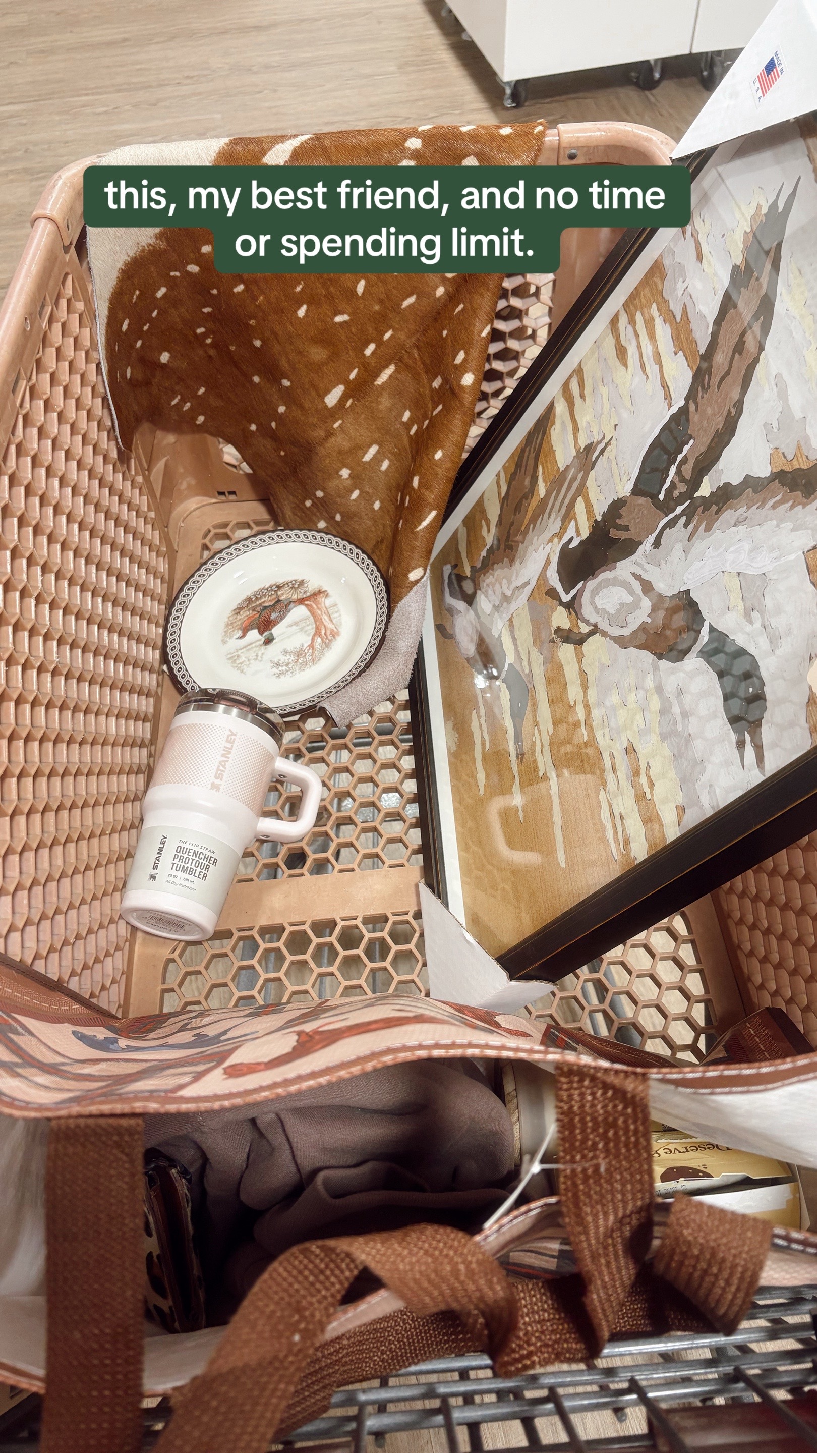 @TAYLOR ROSE⚡️🦓