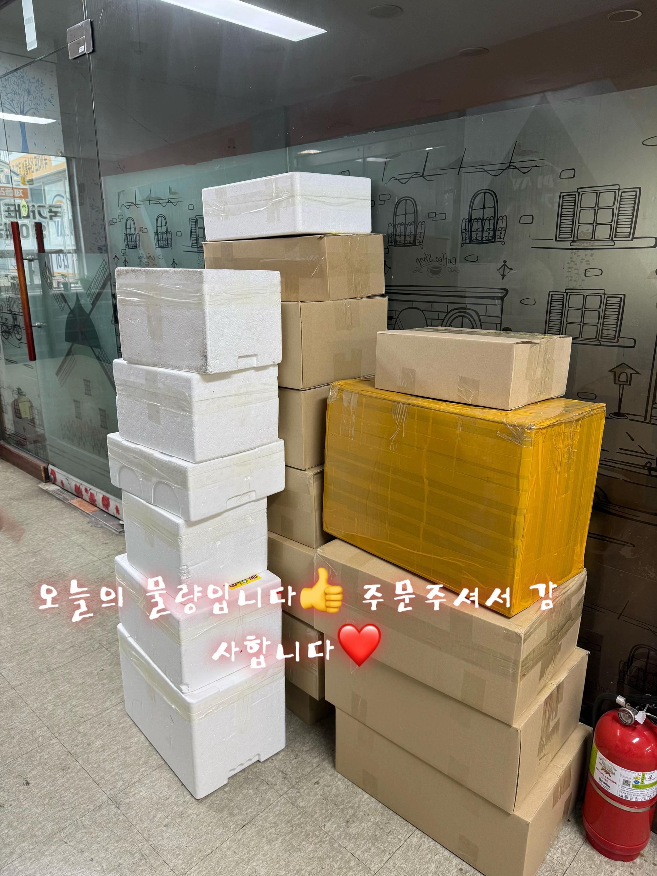 @고애❤️딸셋❤️아들하나