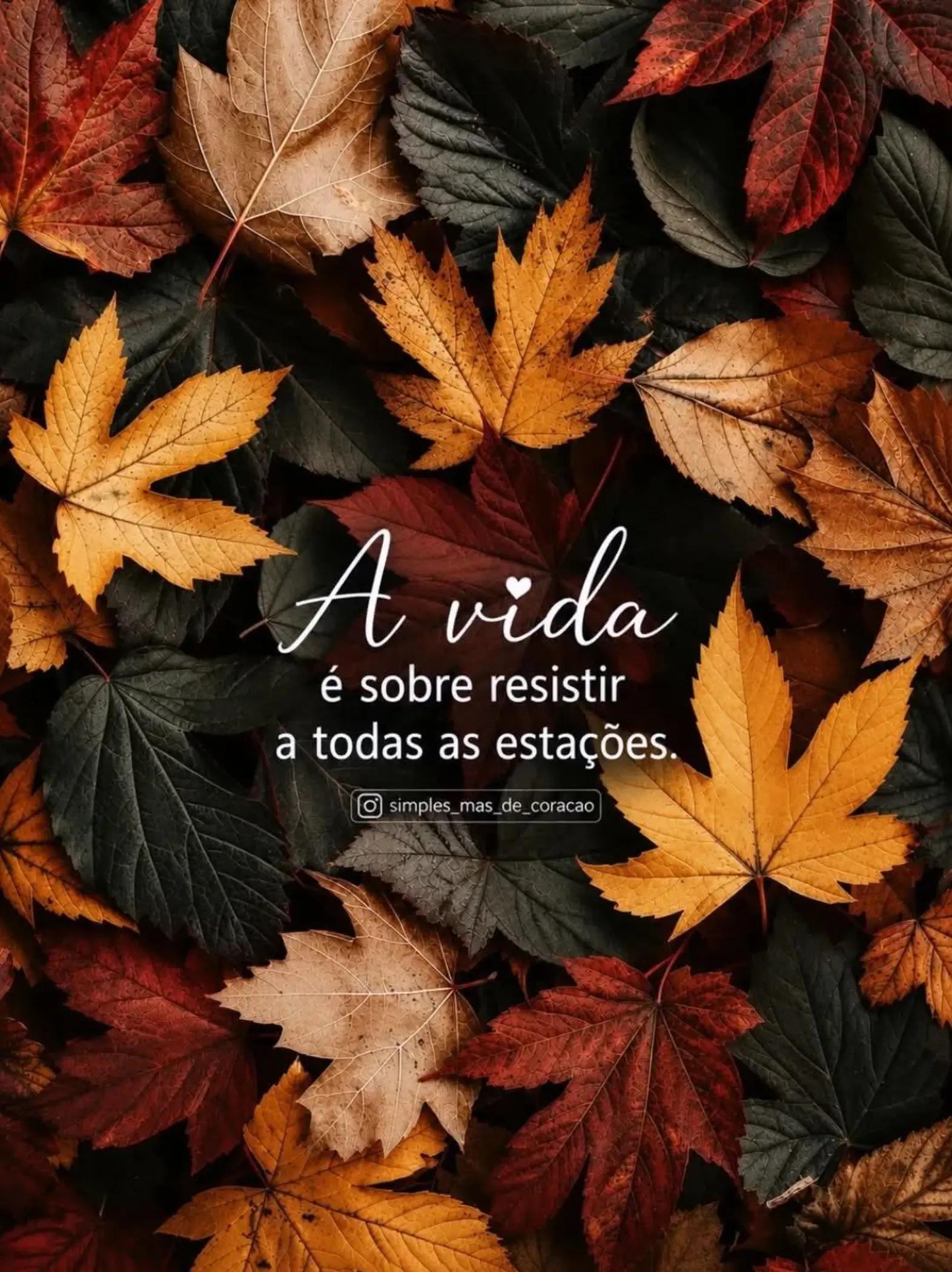 @lucineiarocha2412