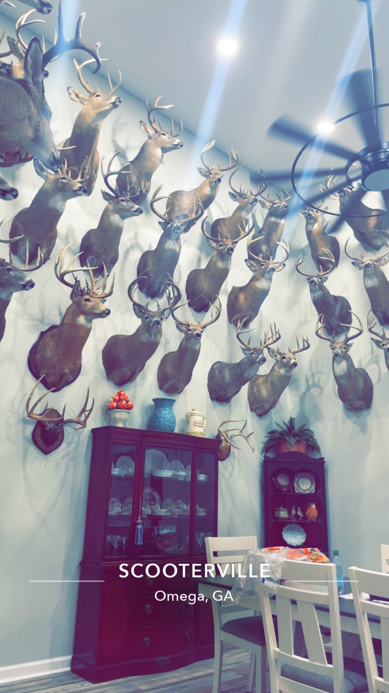 @🌾𝓸𝓱𝓭𝓪𝓽𝓼𝓶𝓪𝓻𝓲𝓪𝓱𝓱🌾