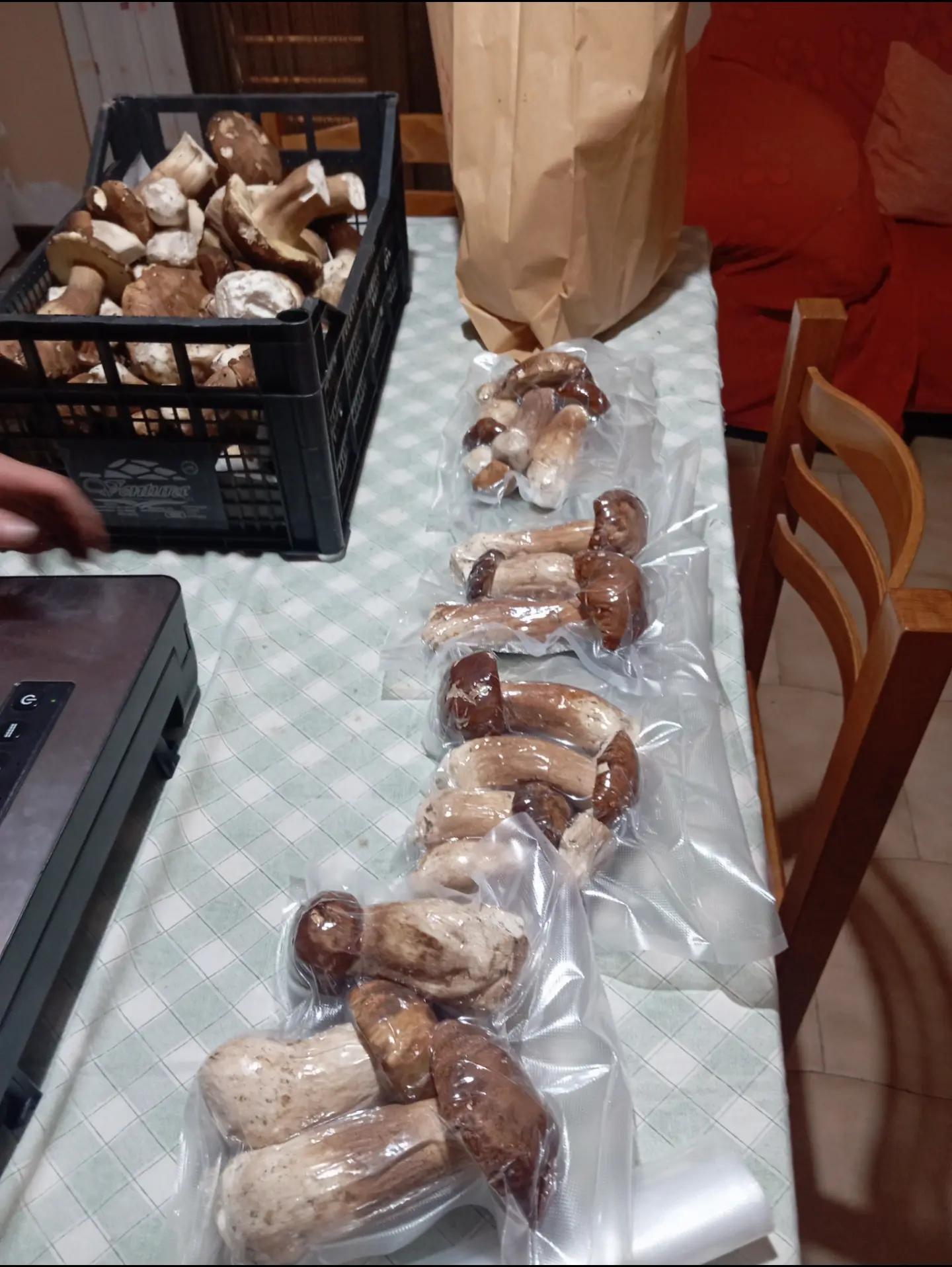 @salvo caruso
