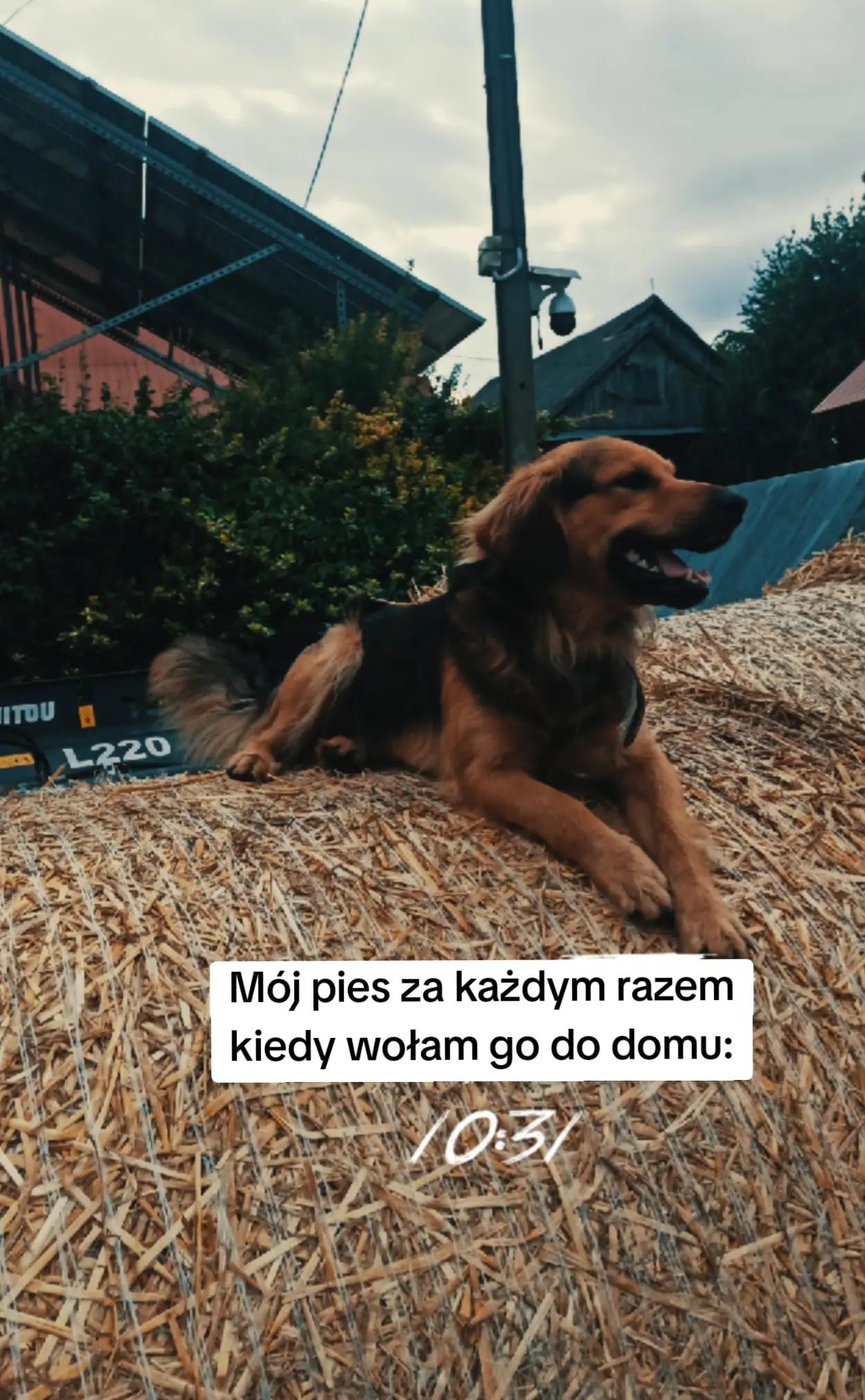 @Pawełek