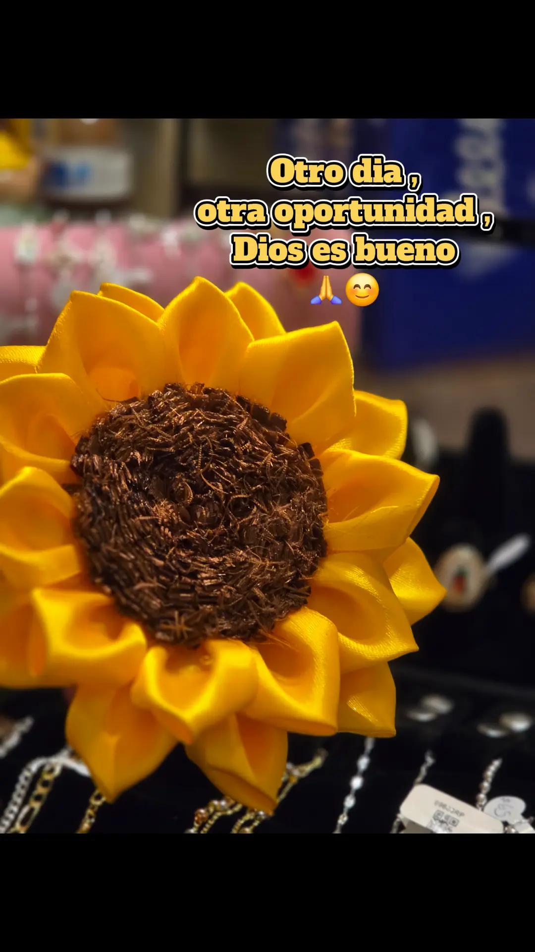 @Er&eacute;ndira Honorato