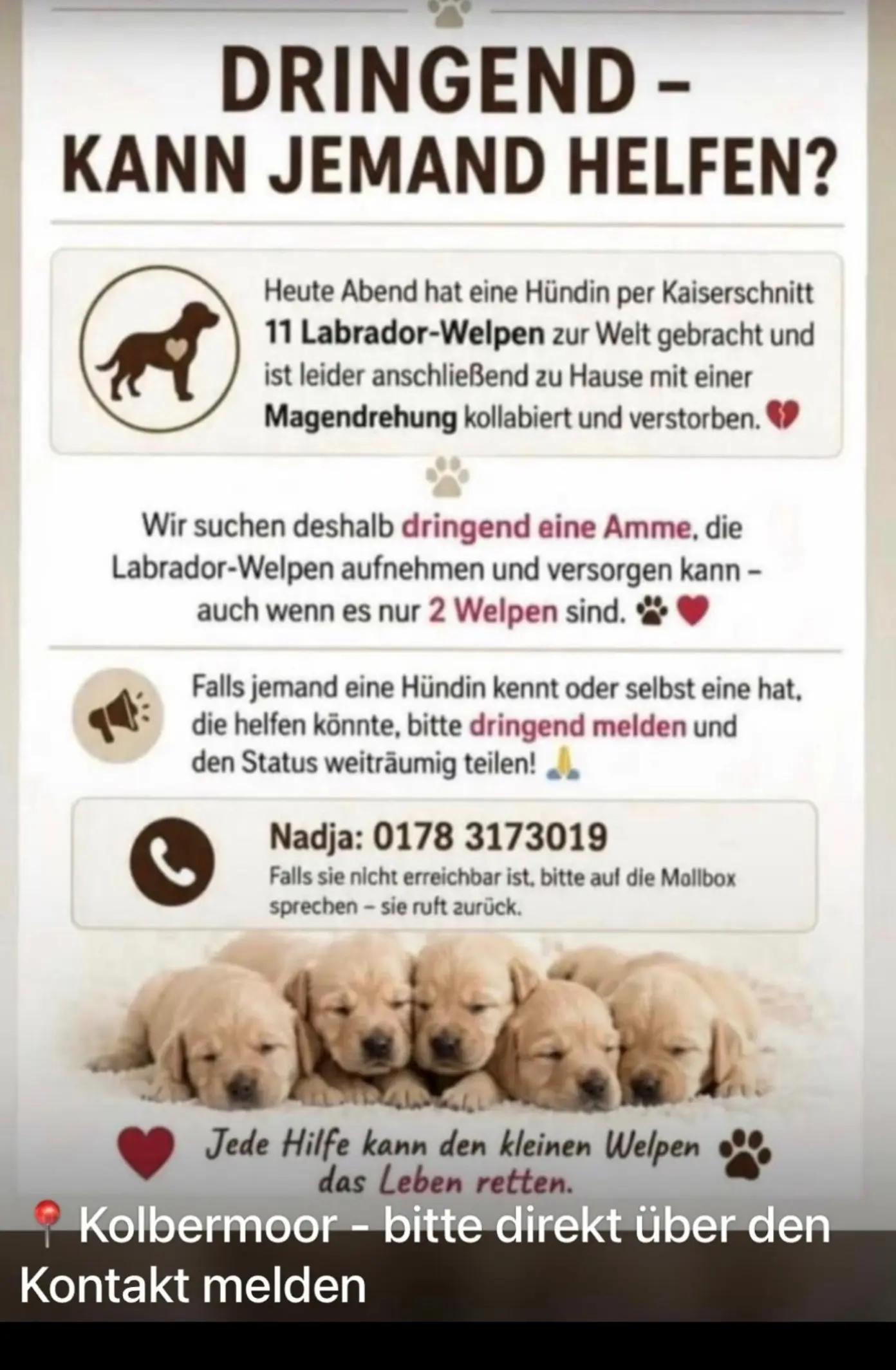 @Heidi 🪽Angel🪽