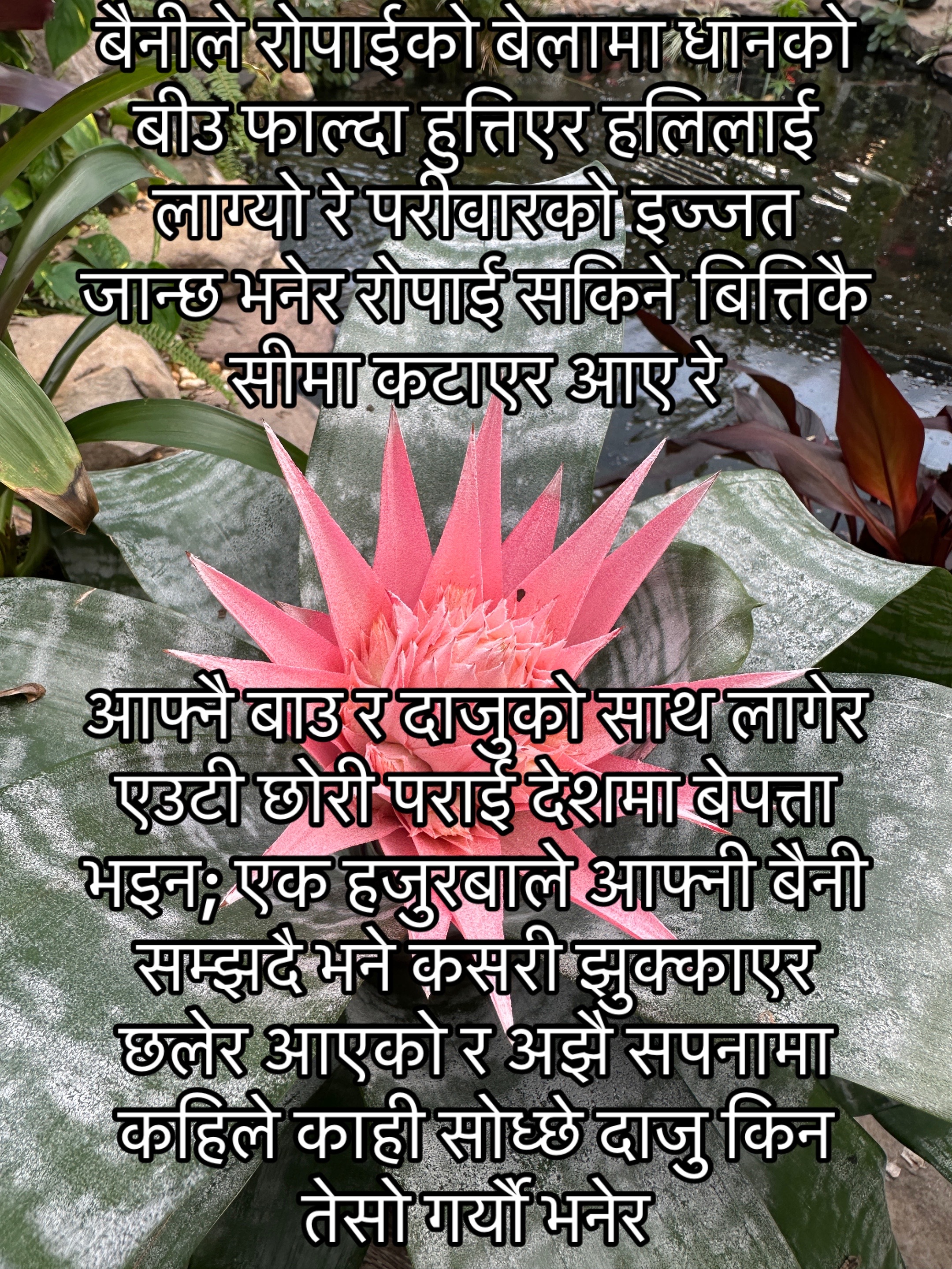 @आमा र जग्गुदिदी