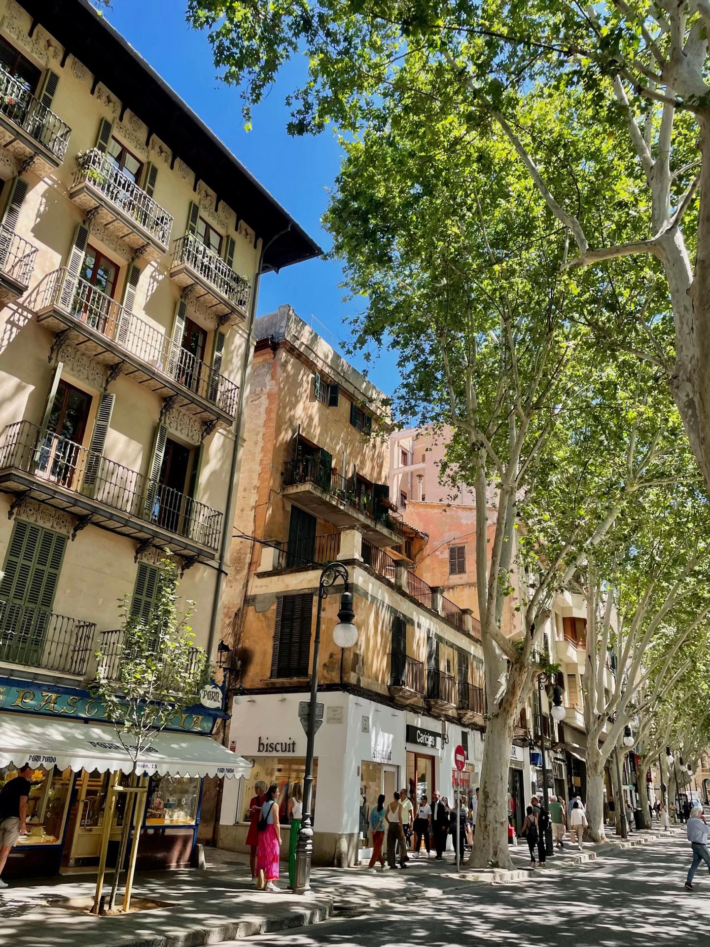 @Ella | Travel & Stays