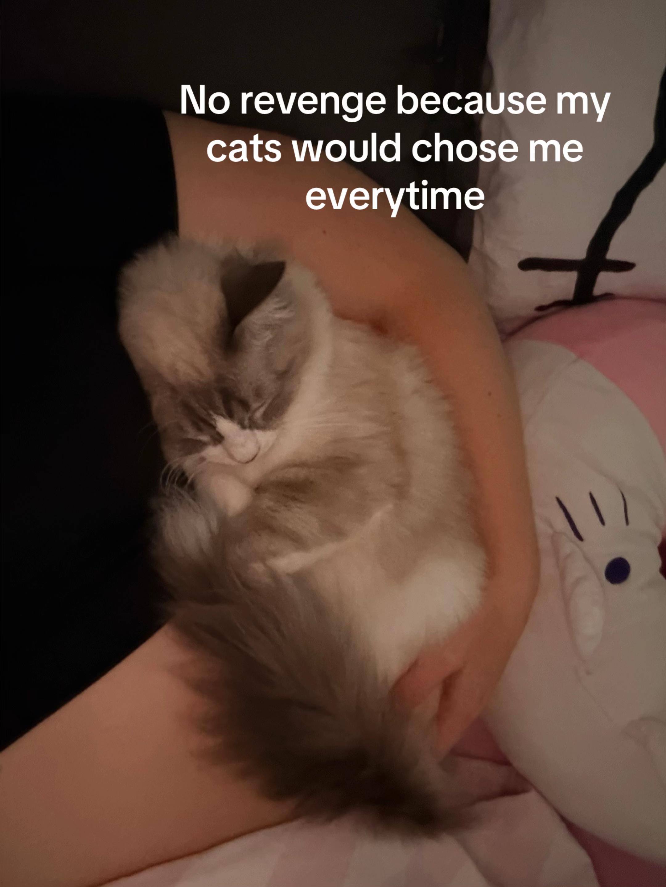 @totalmessforu