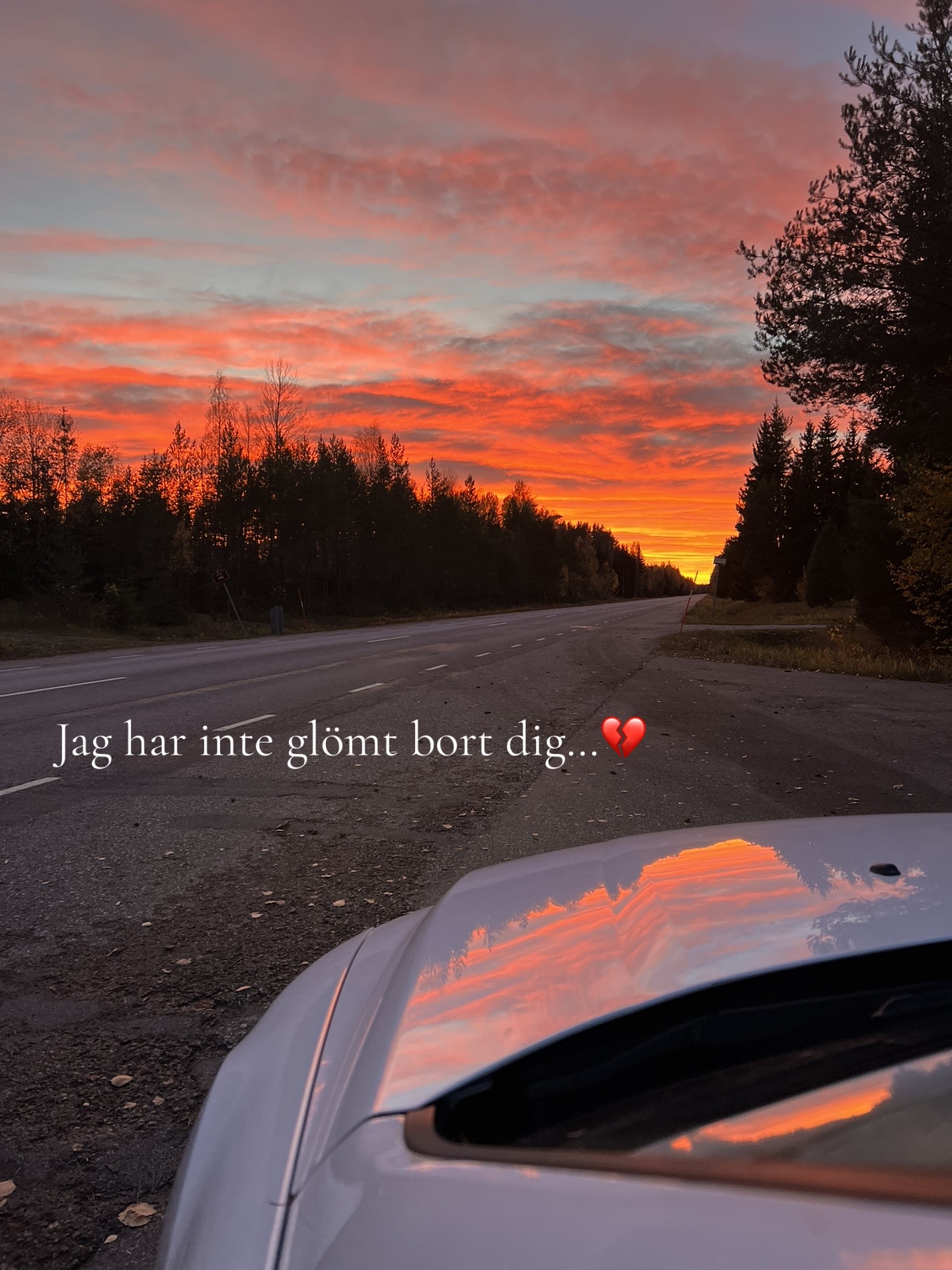 @Elin Berg <3