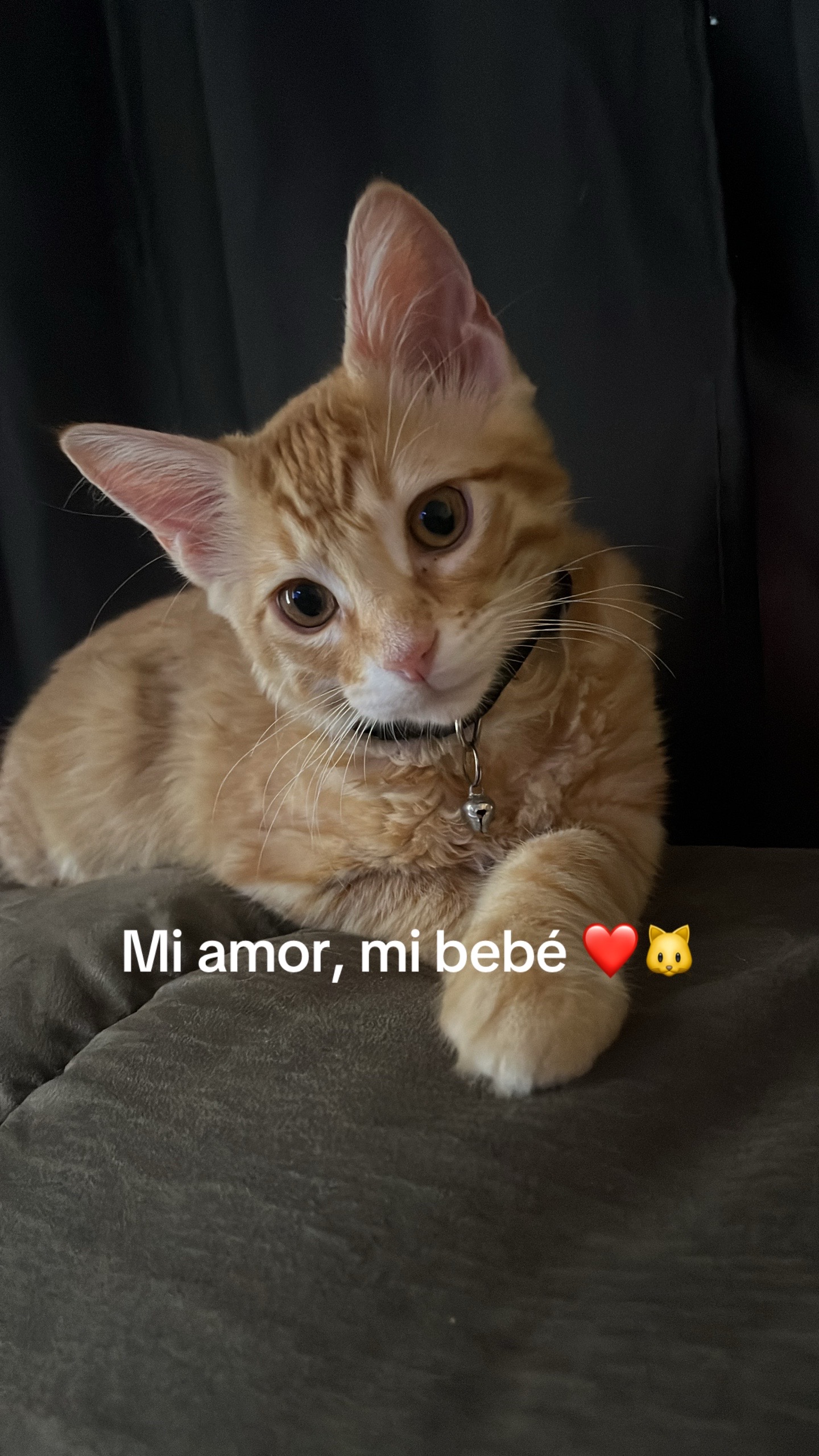 @Bibi