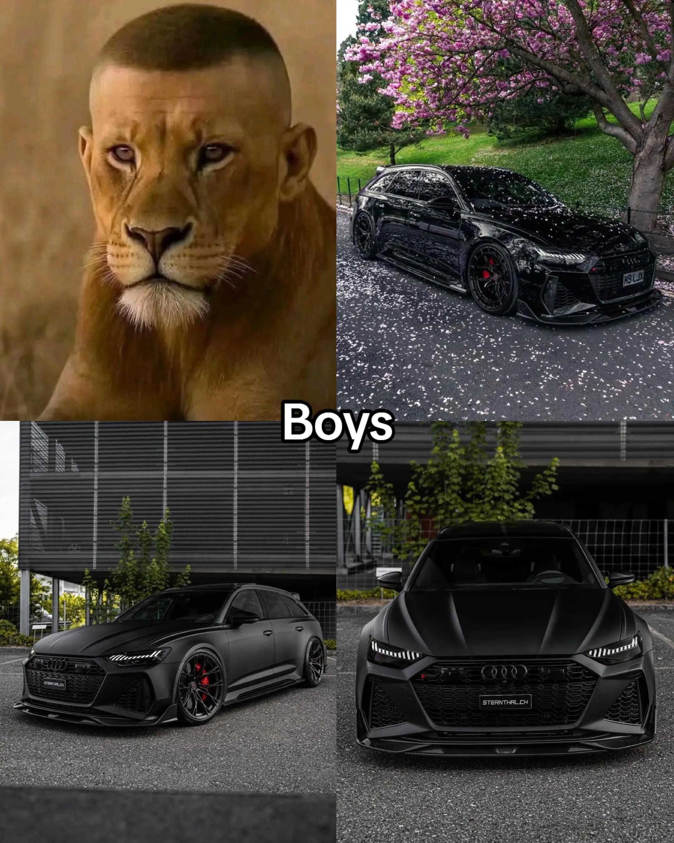 @𝑩𝑴𝑾