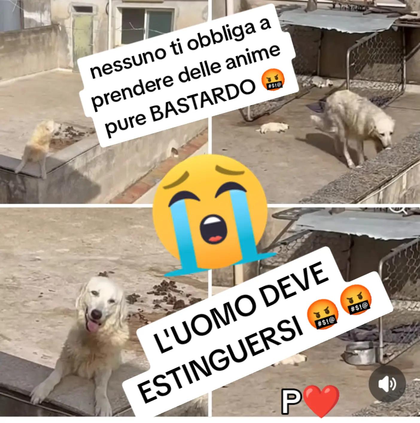 @♥️ POLLY ♥️