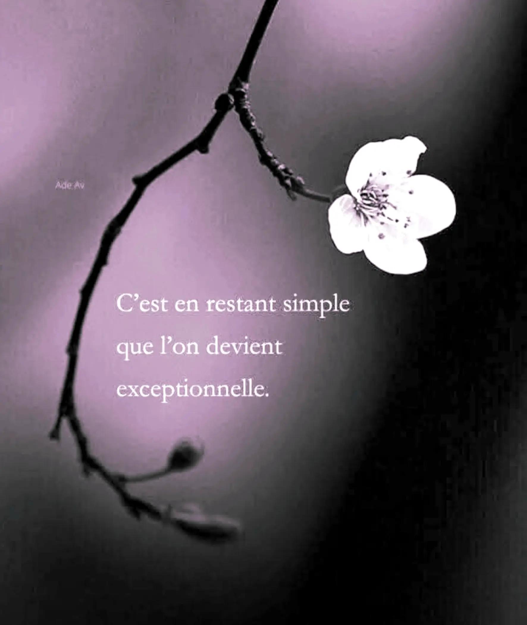 @Petite chipie