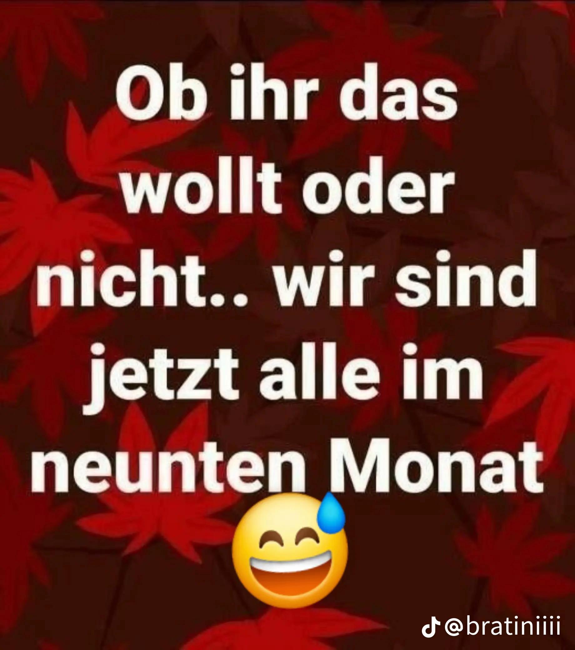@Asphalt Schleicher