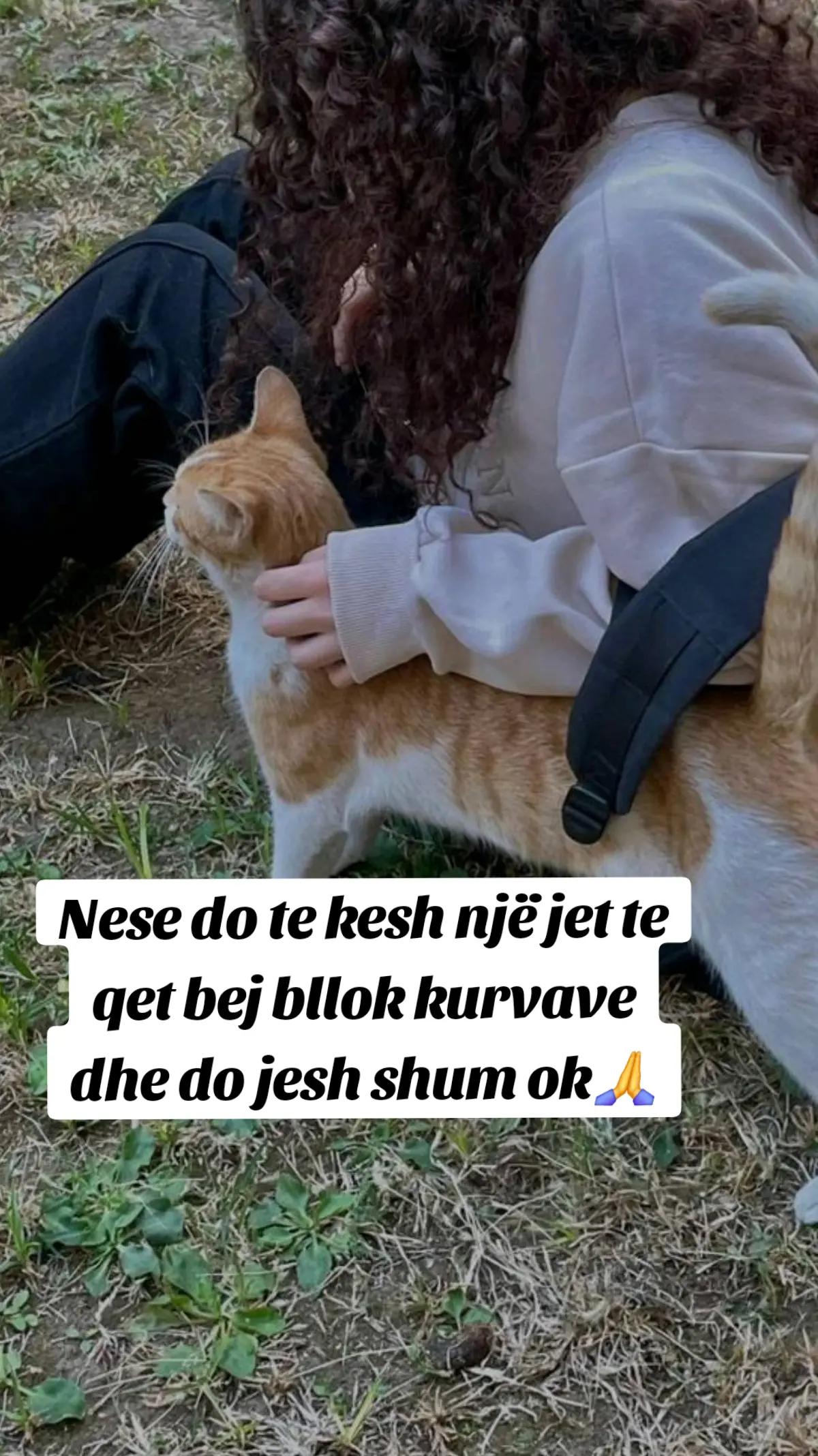 @🦁Luanesha🦁