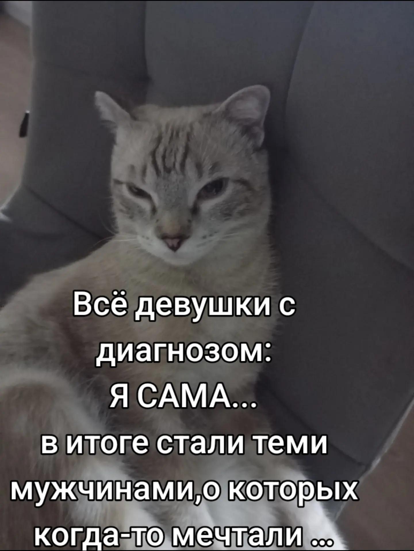 @🪷Альфия Ибрагимова🪷
