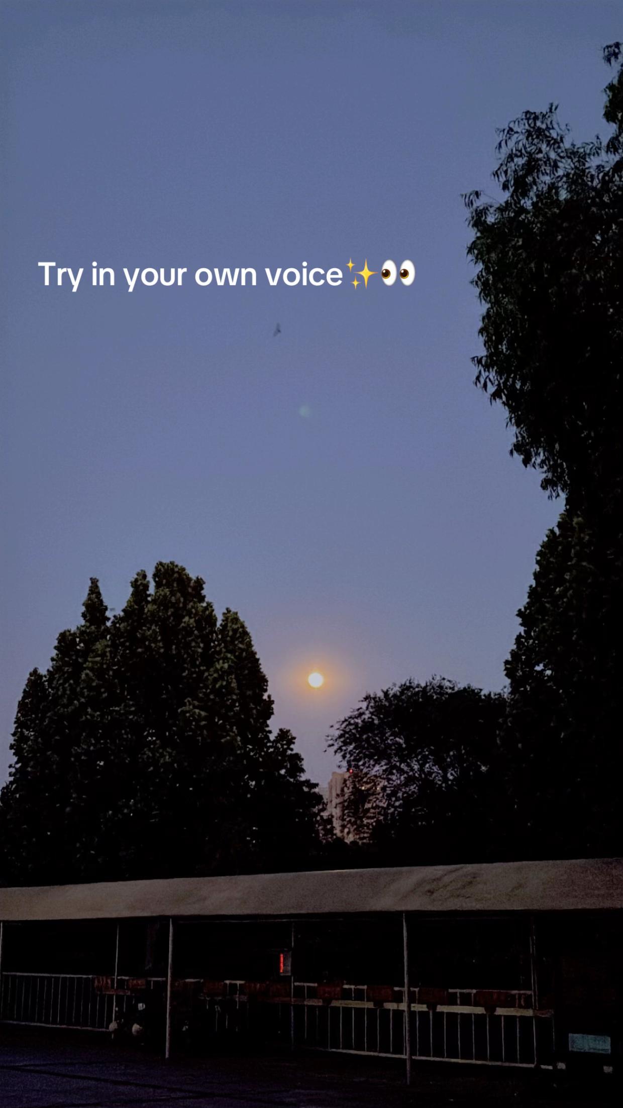 @NA🪽🇸🇦