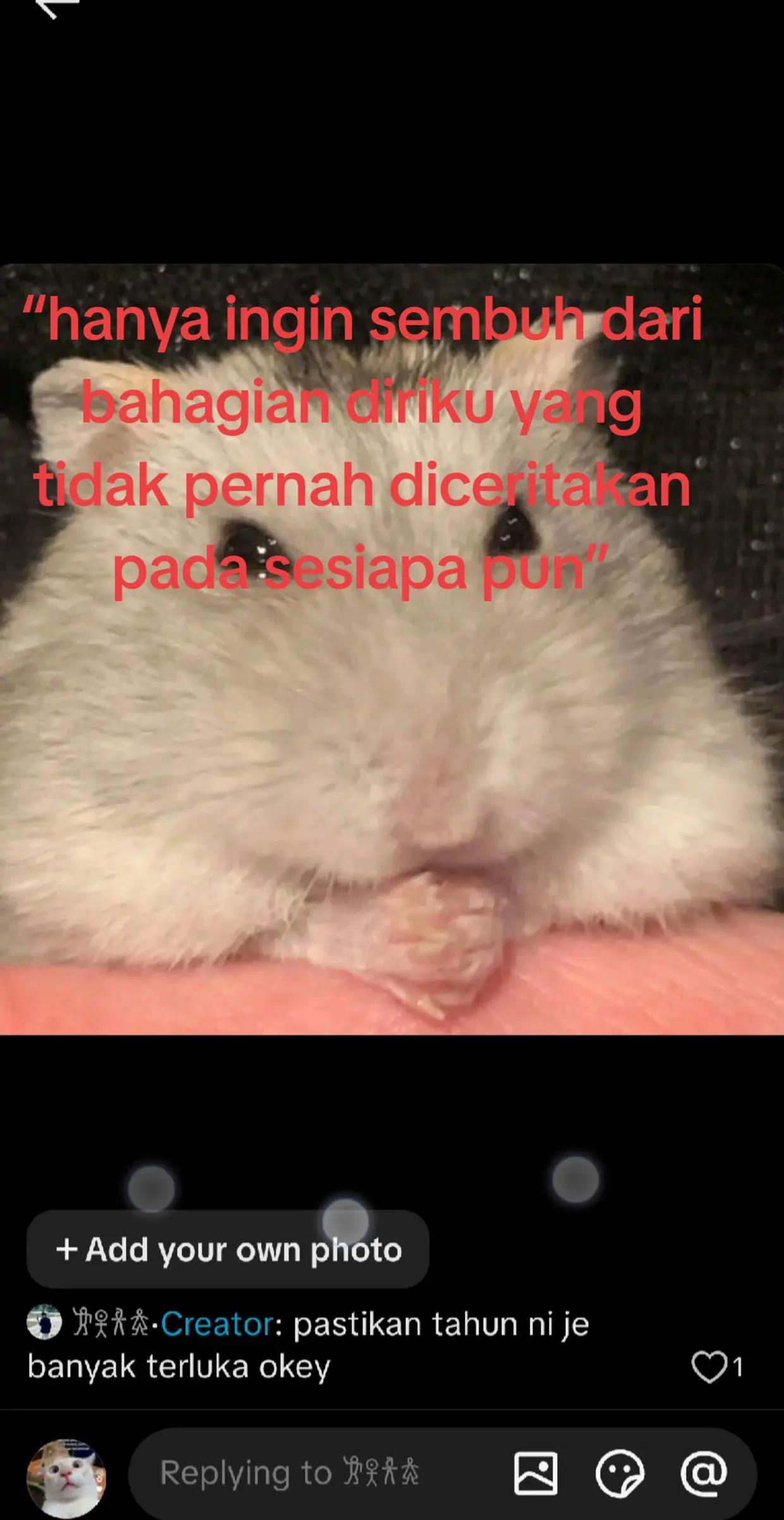 @John cool