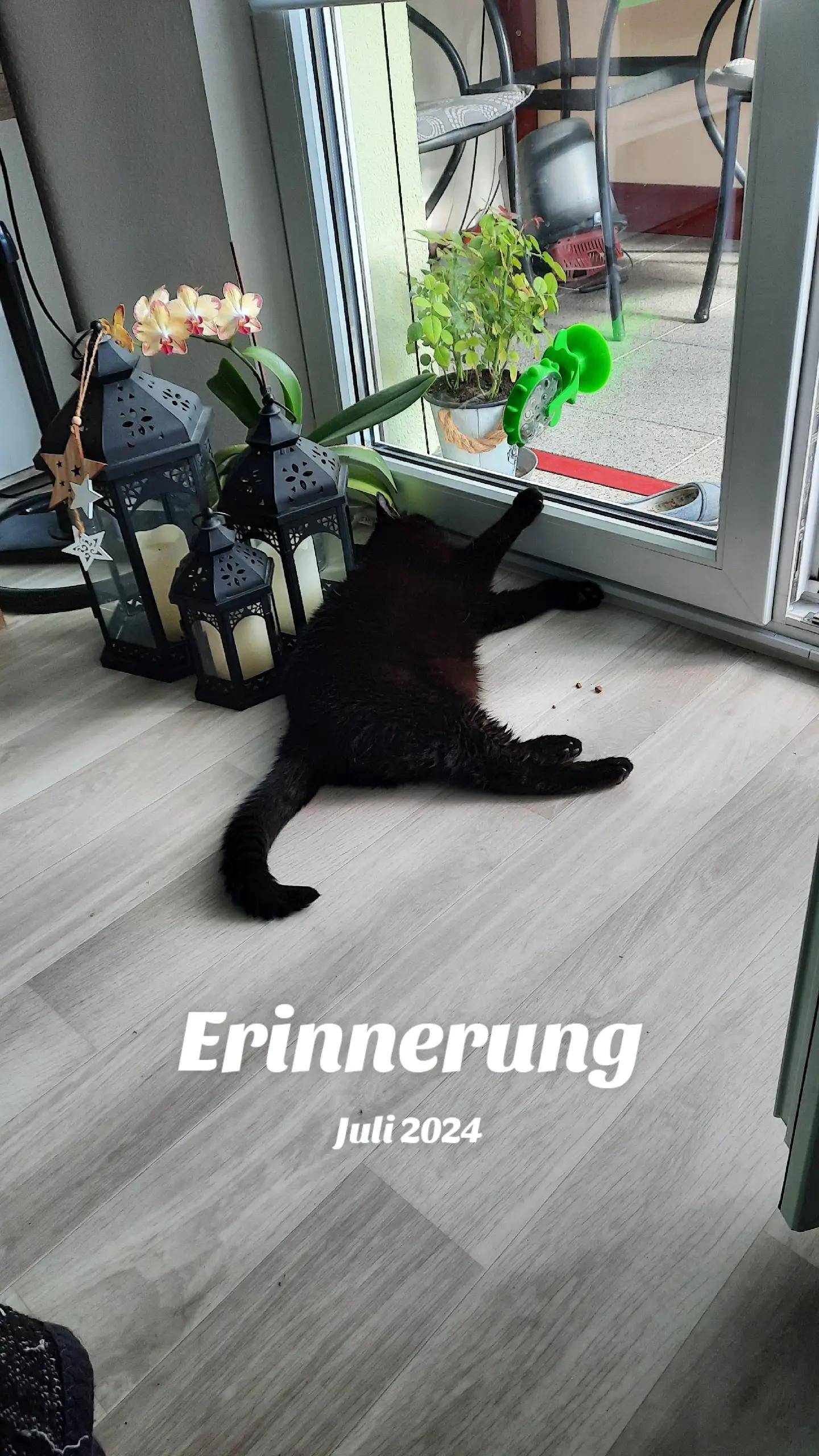@Gerüstbauer aus Leidenschaft