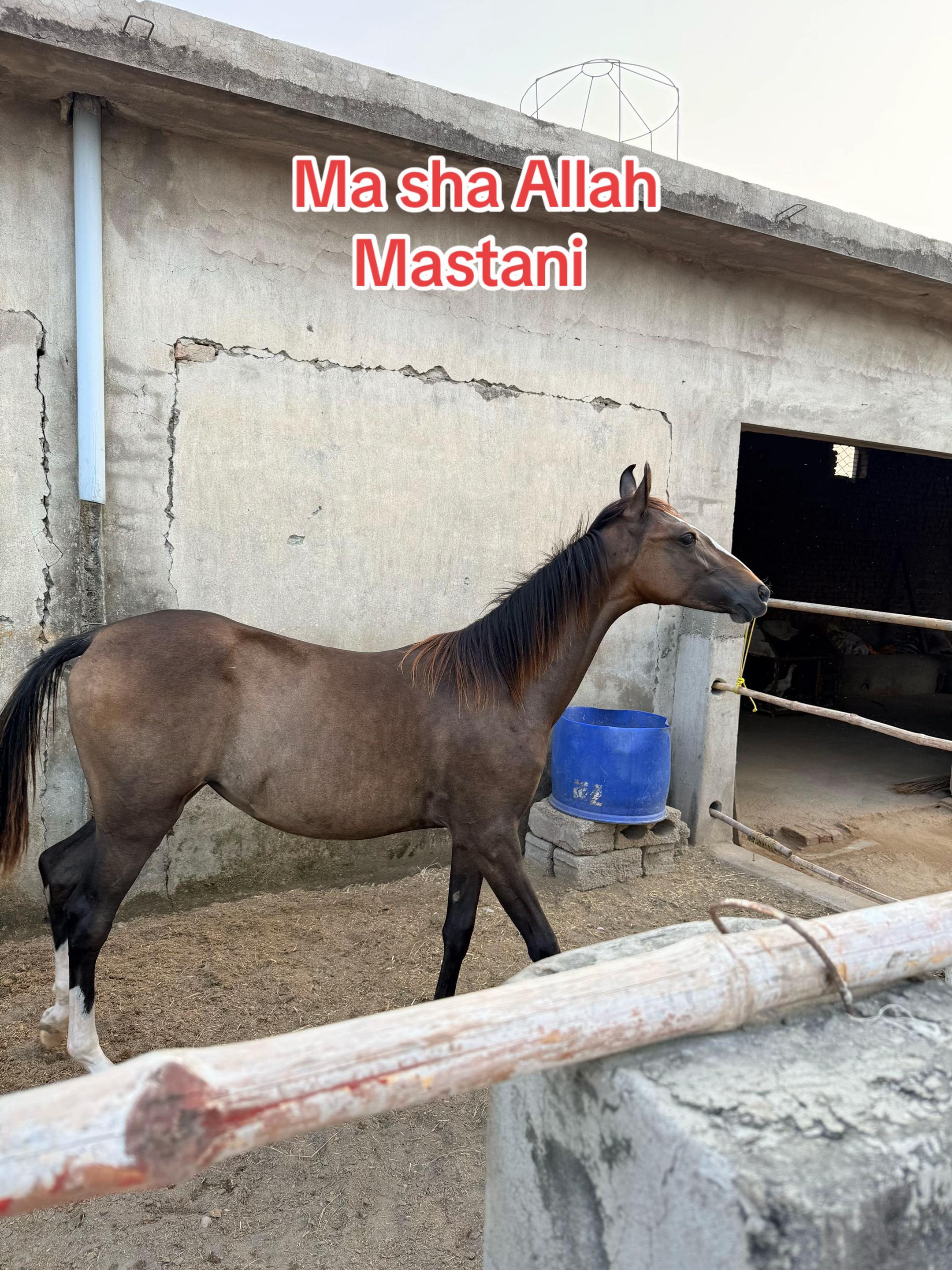 @IMRAN GUJJAR