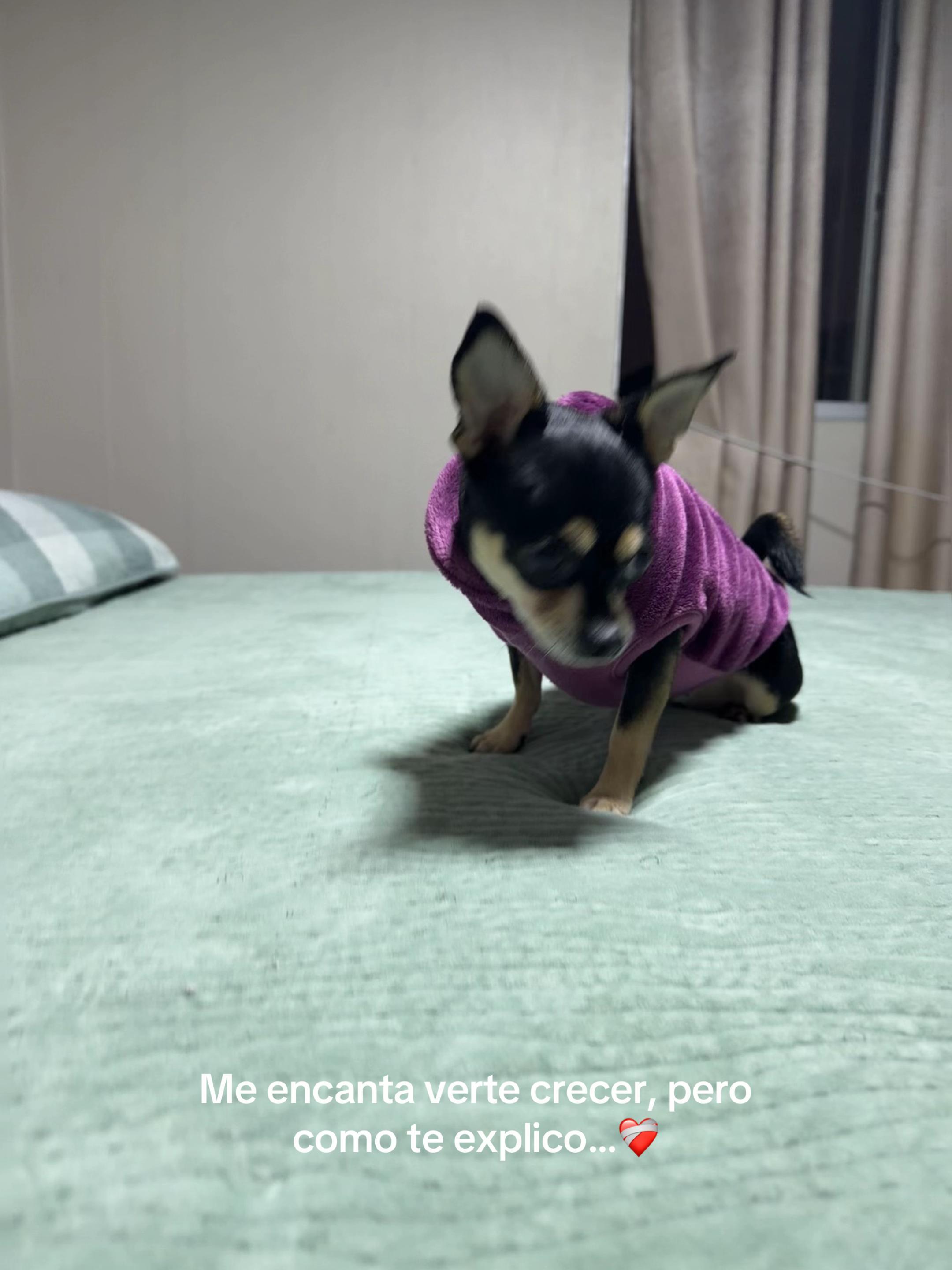 @𝑬𝒎𝒆𝒍𝒊𝒛 𝑹𝒂𝒎𝒐𝒔
